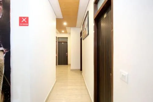 Collection O Gold Star