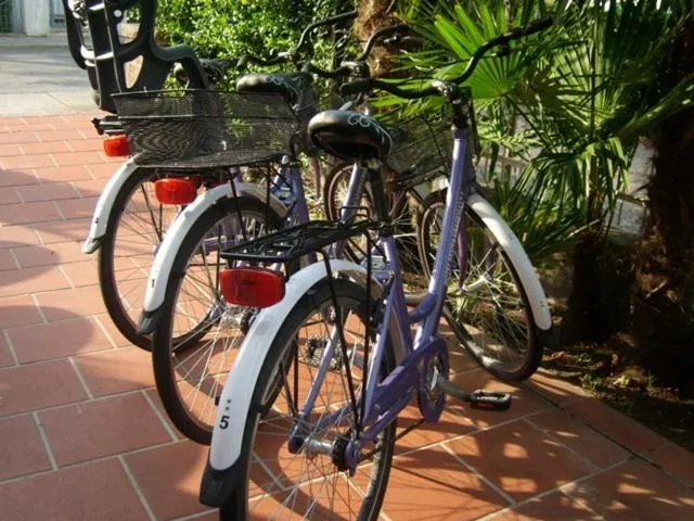 Cycling in Hotel Nuova Graziosa