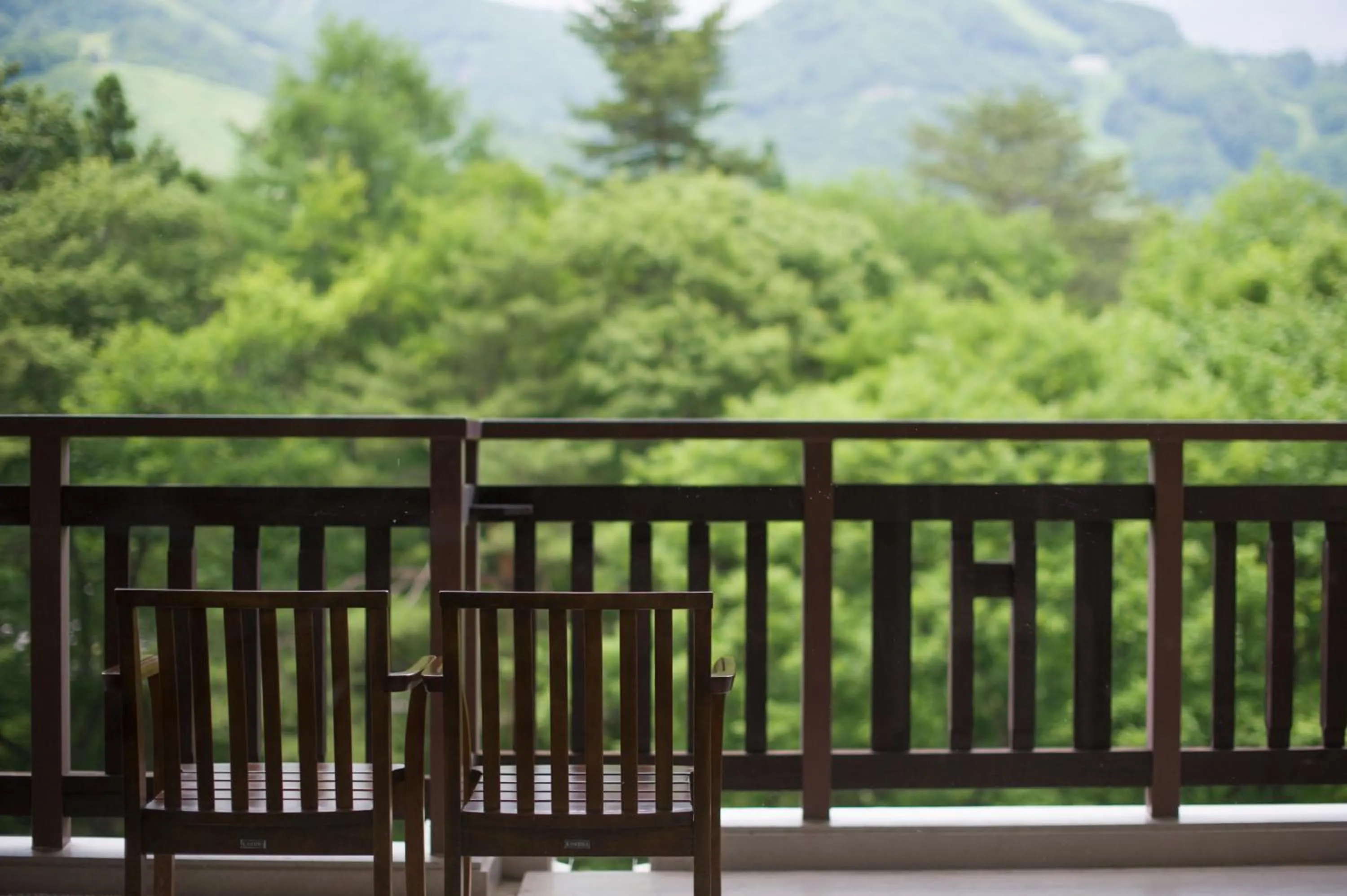 View (from property/room) in Hakuba Tokyu Hotel