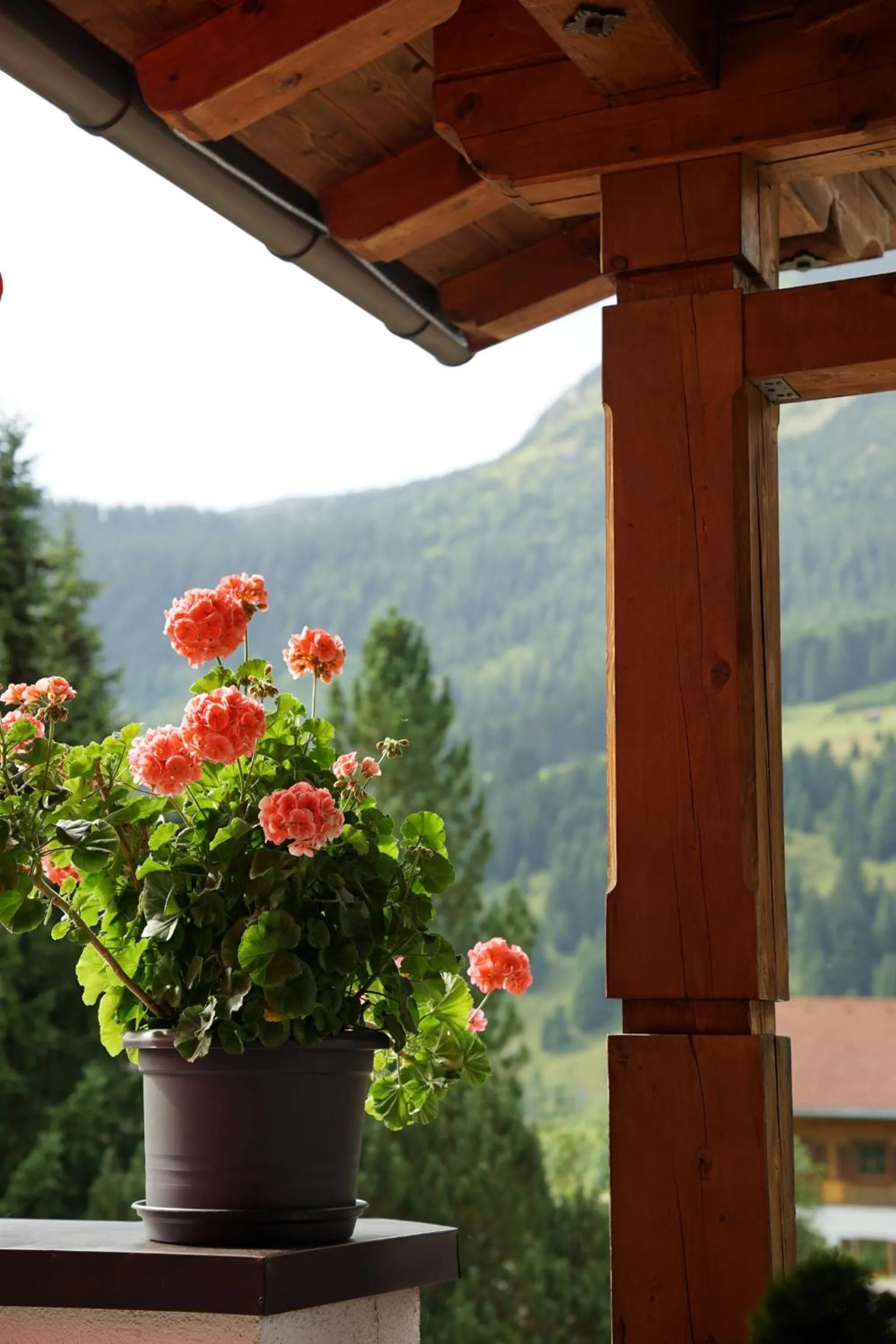 Balcony/Terrace in Garni Hotel Wildanger