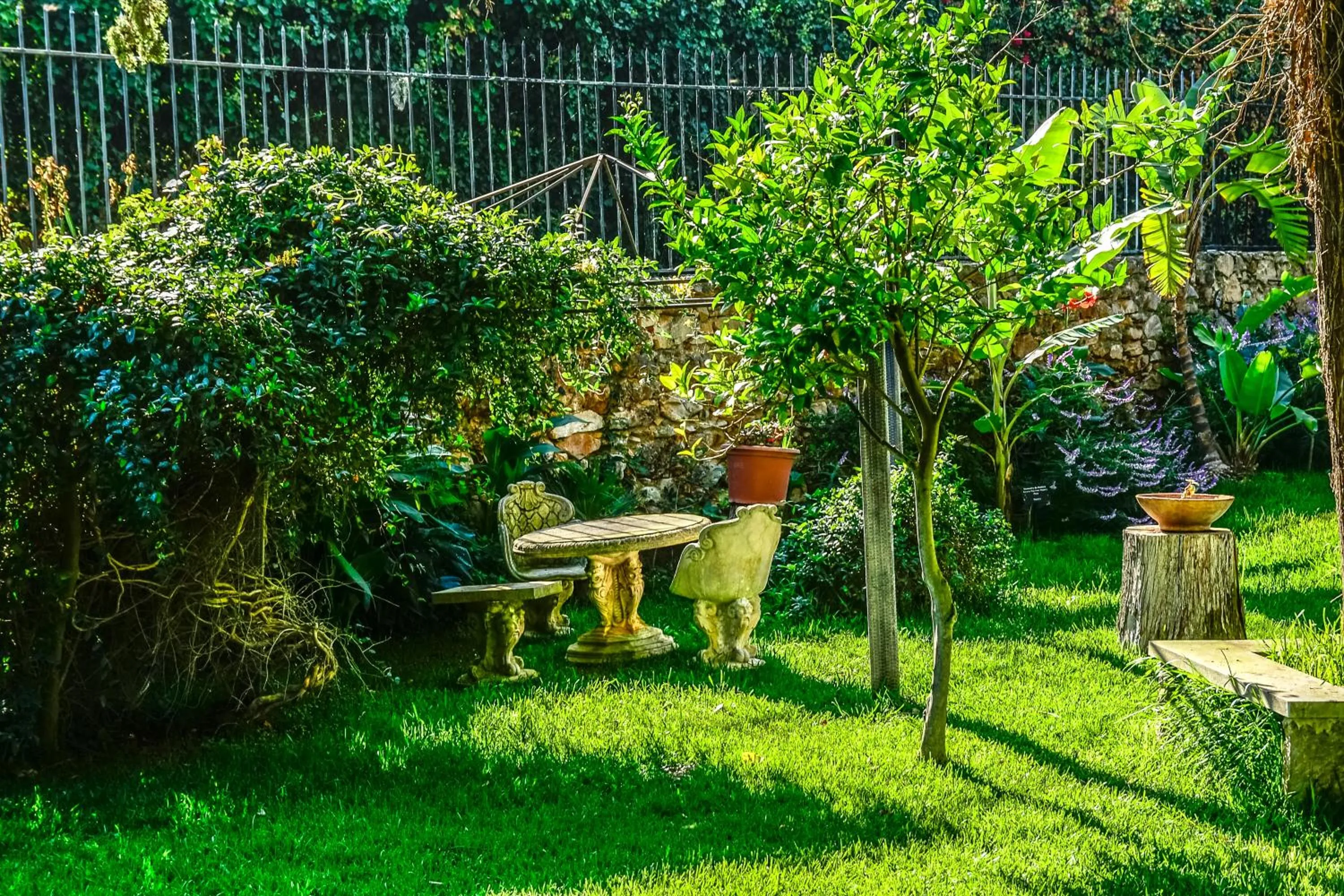 Garden in Casa Vela Boutique House