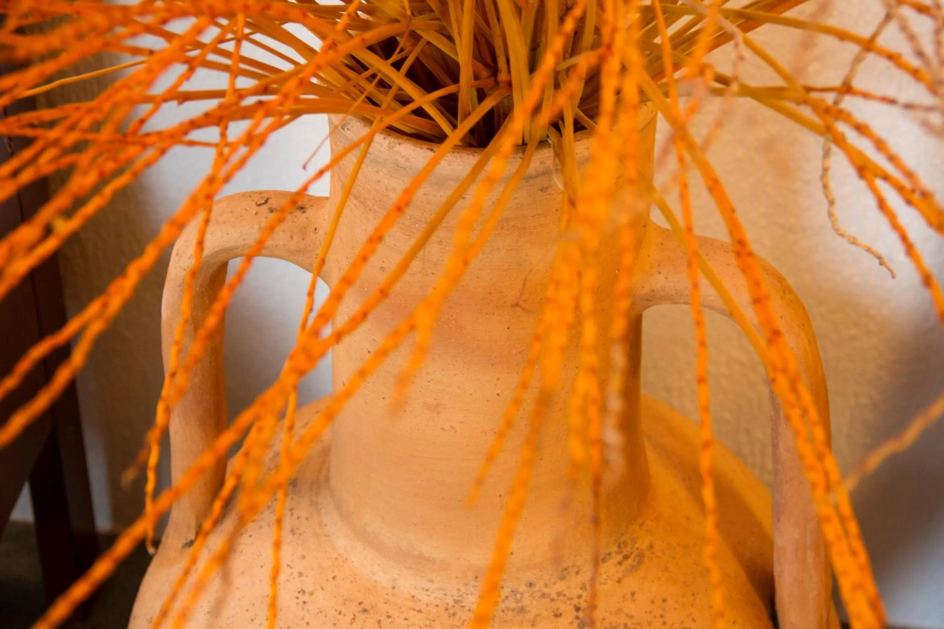 Decorative detail in Lycasti Maisonettes