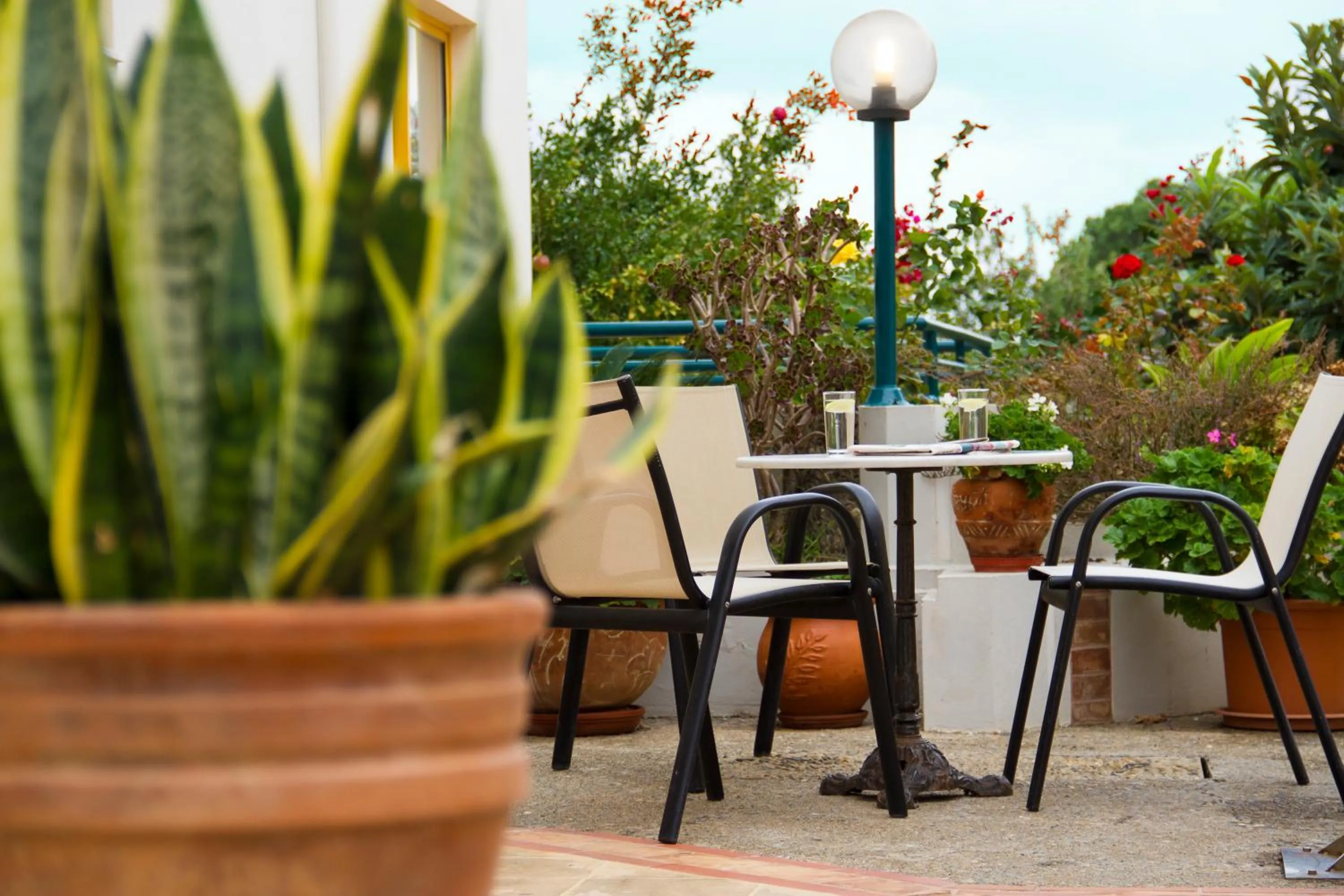 Garden in Lycasti Maisonettes