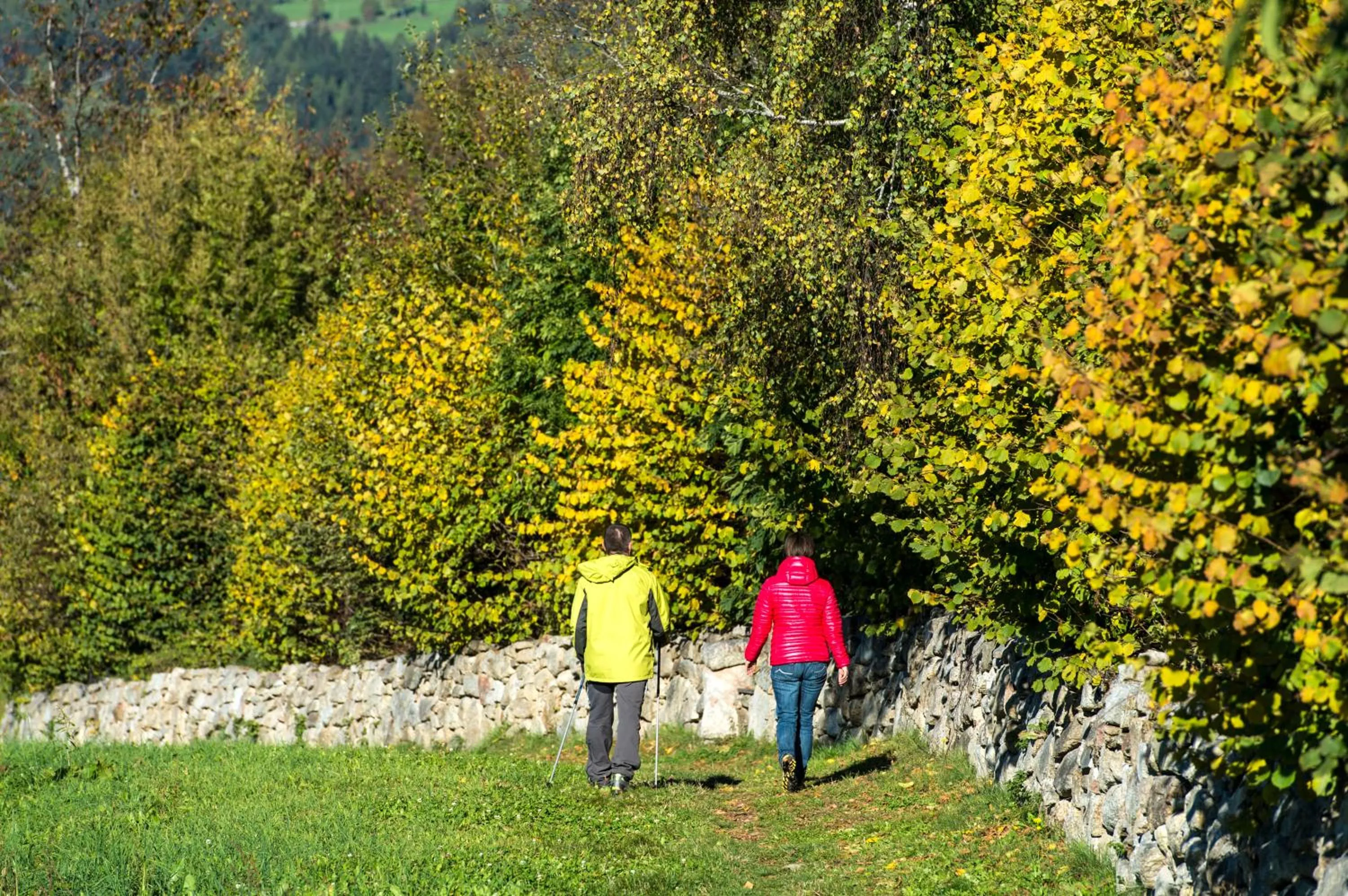 Hiking in Hotel Kristall