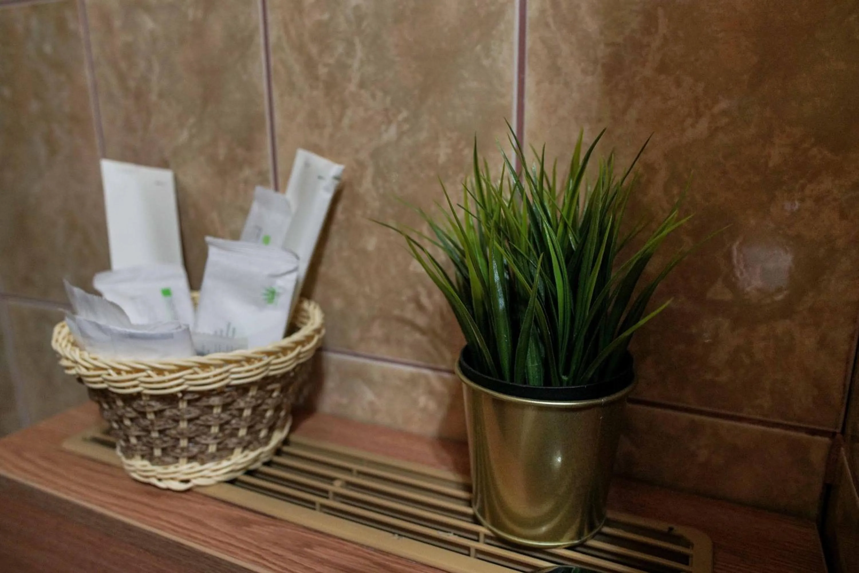 Bucharest Downtown Inn