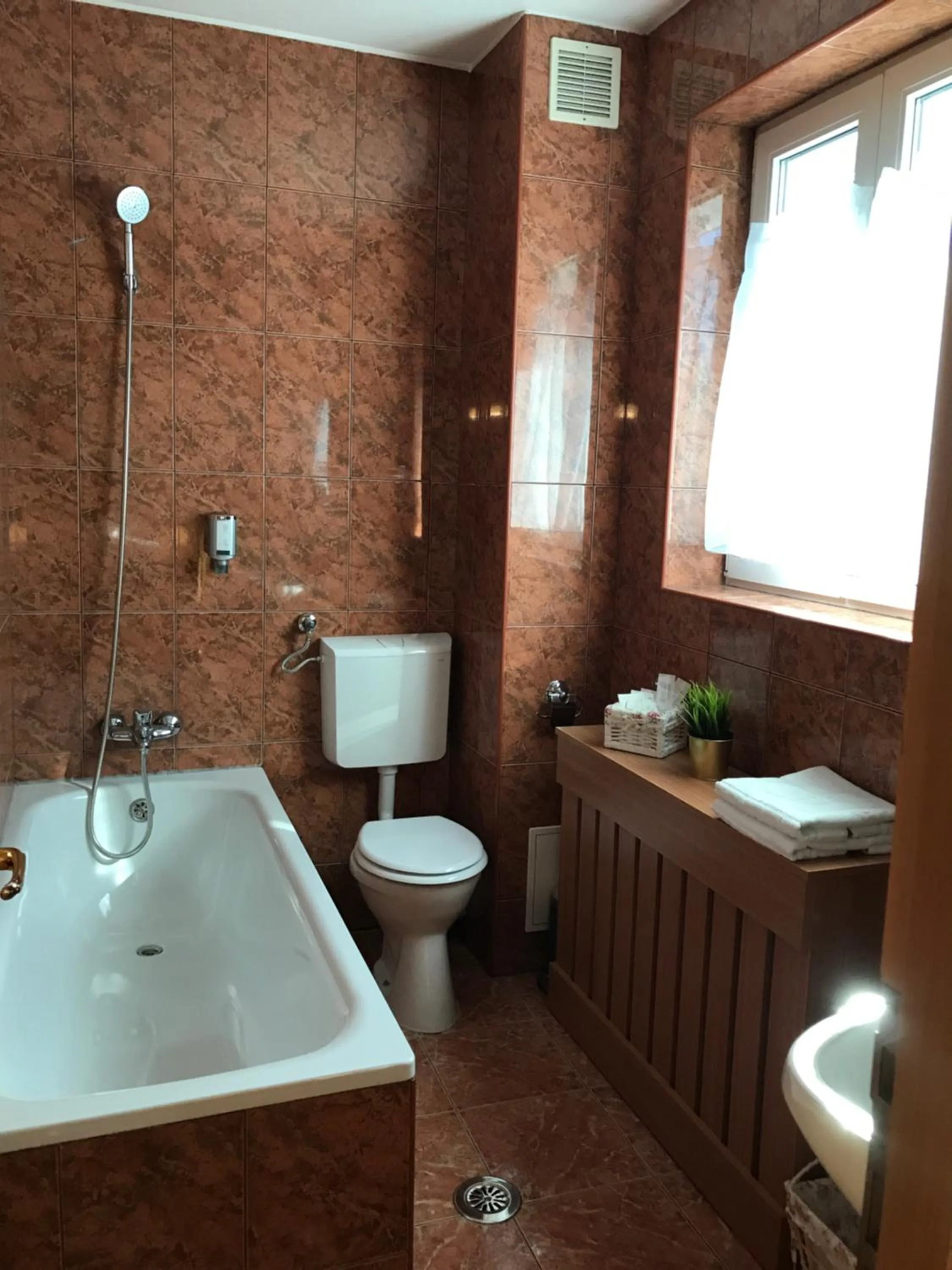 Bucharest Downtown Inn