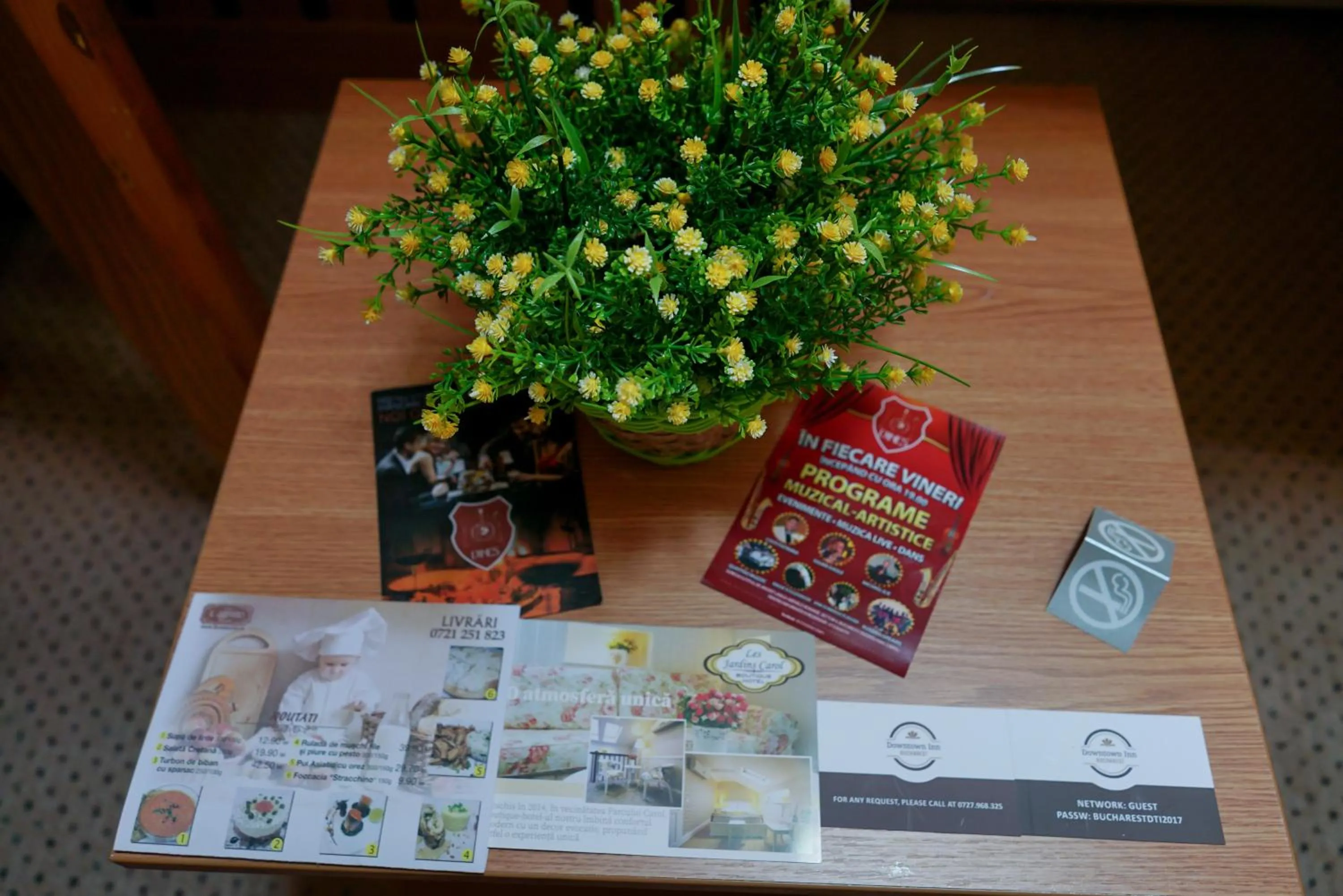 Bucharest Downtown Inn