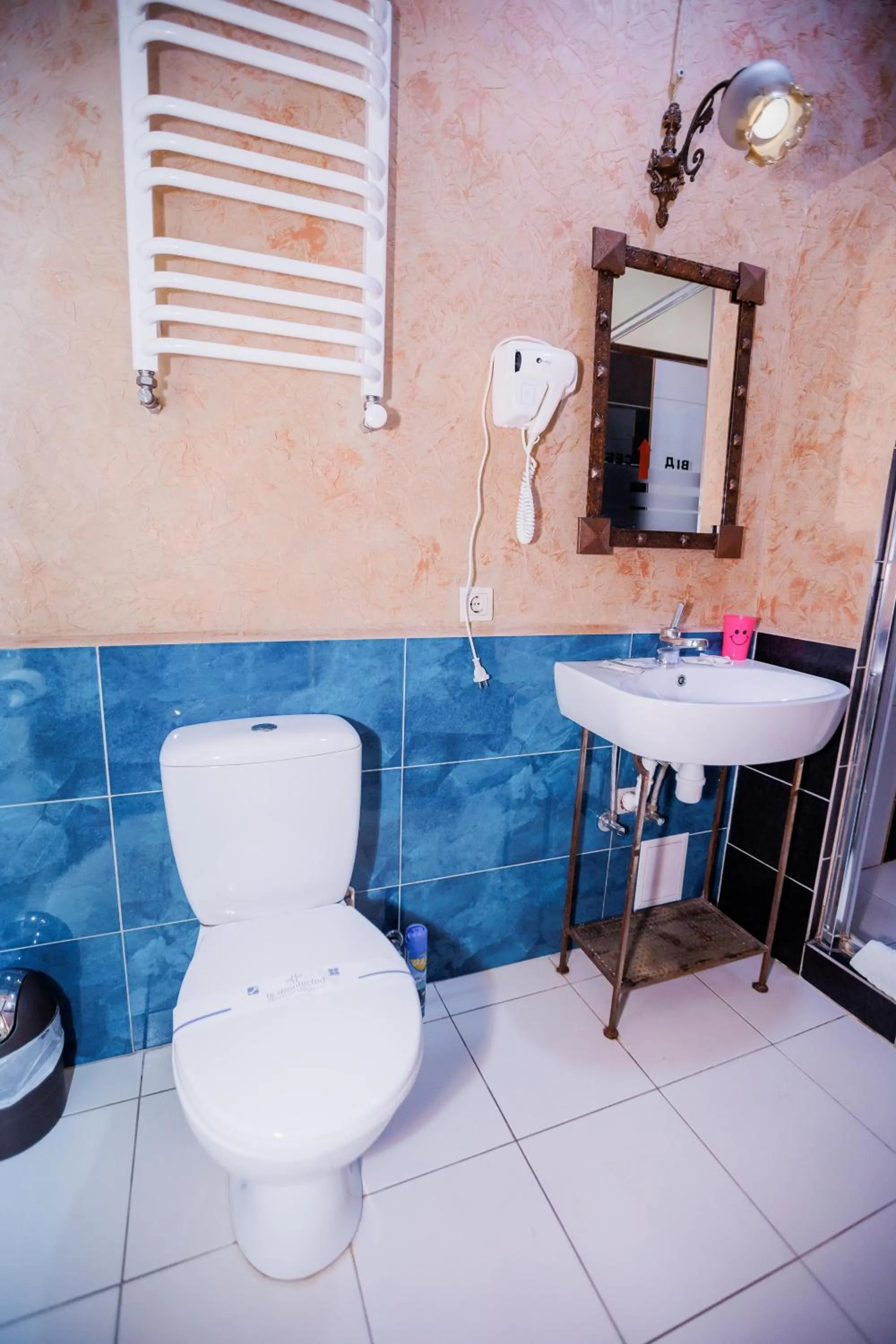 Toilet in Staryi Krakiv