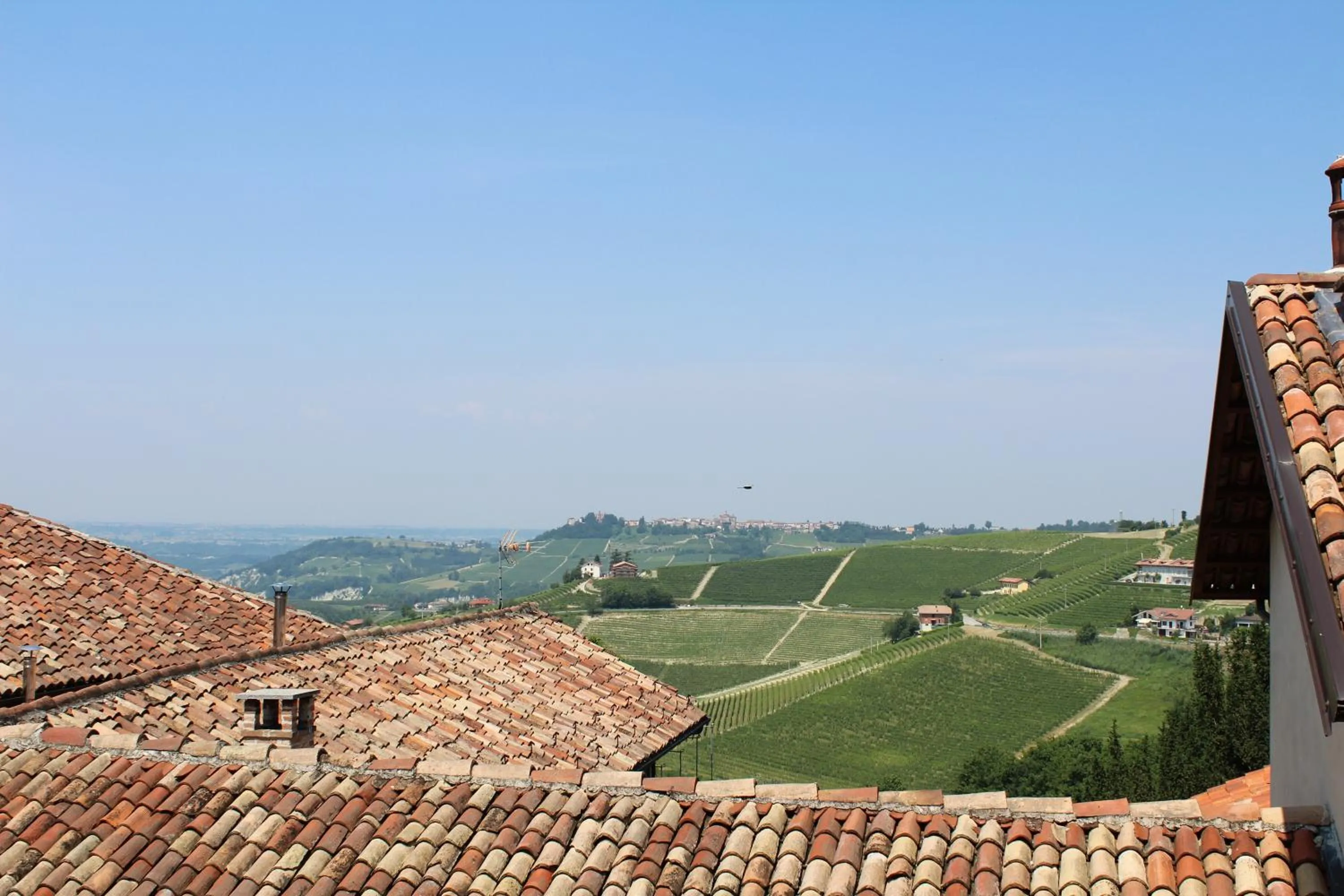 Natural landscape in Hotel Il Grappolo D'Oro