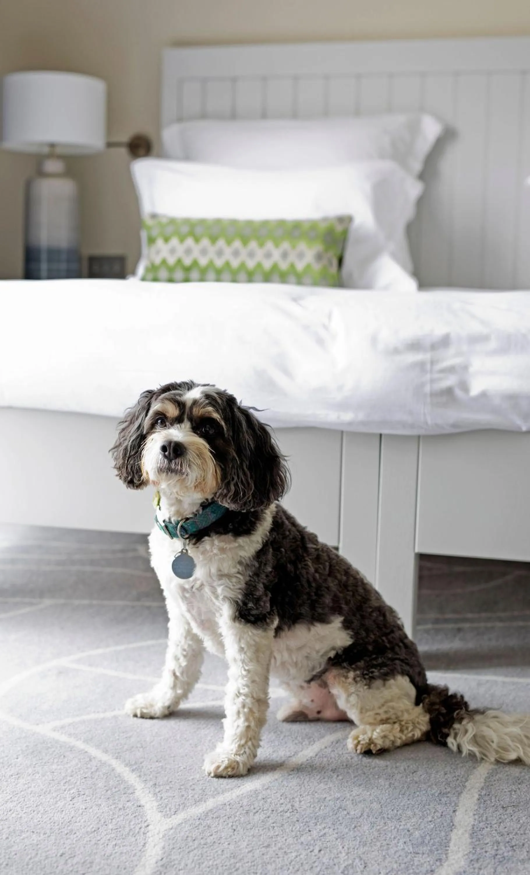 Bed in Another Place, The Machrie