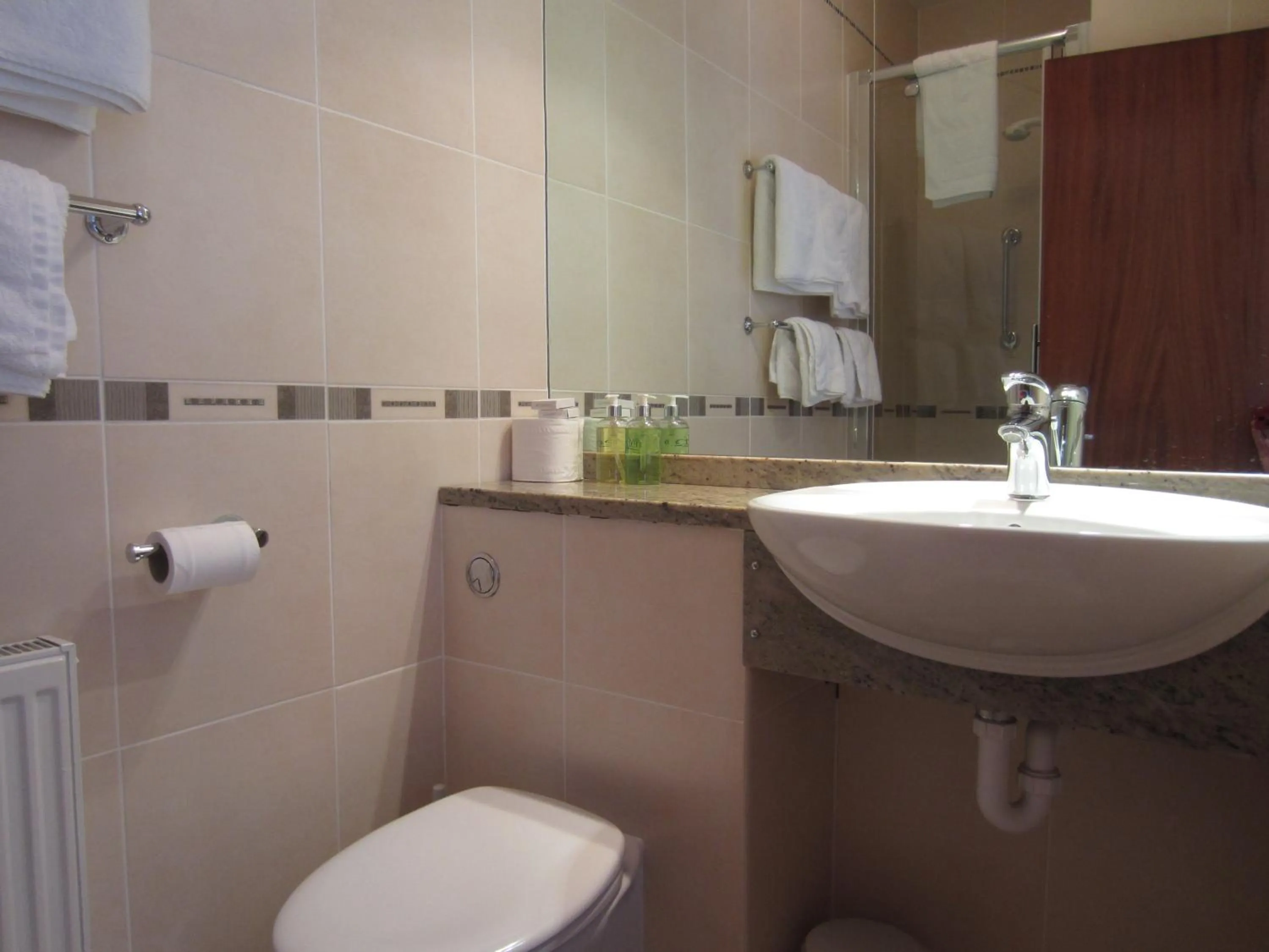 Shower in Gwrach Ynys Country Guest House