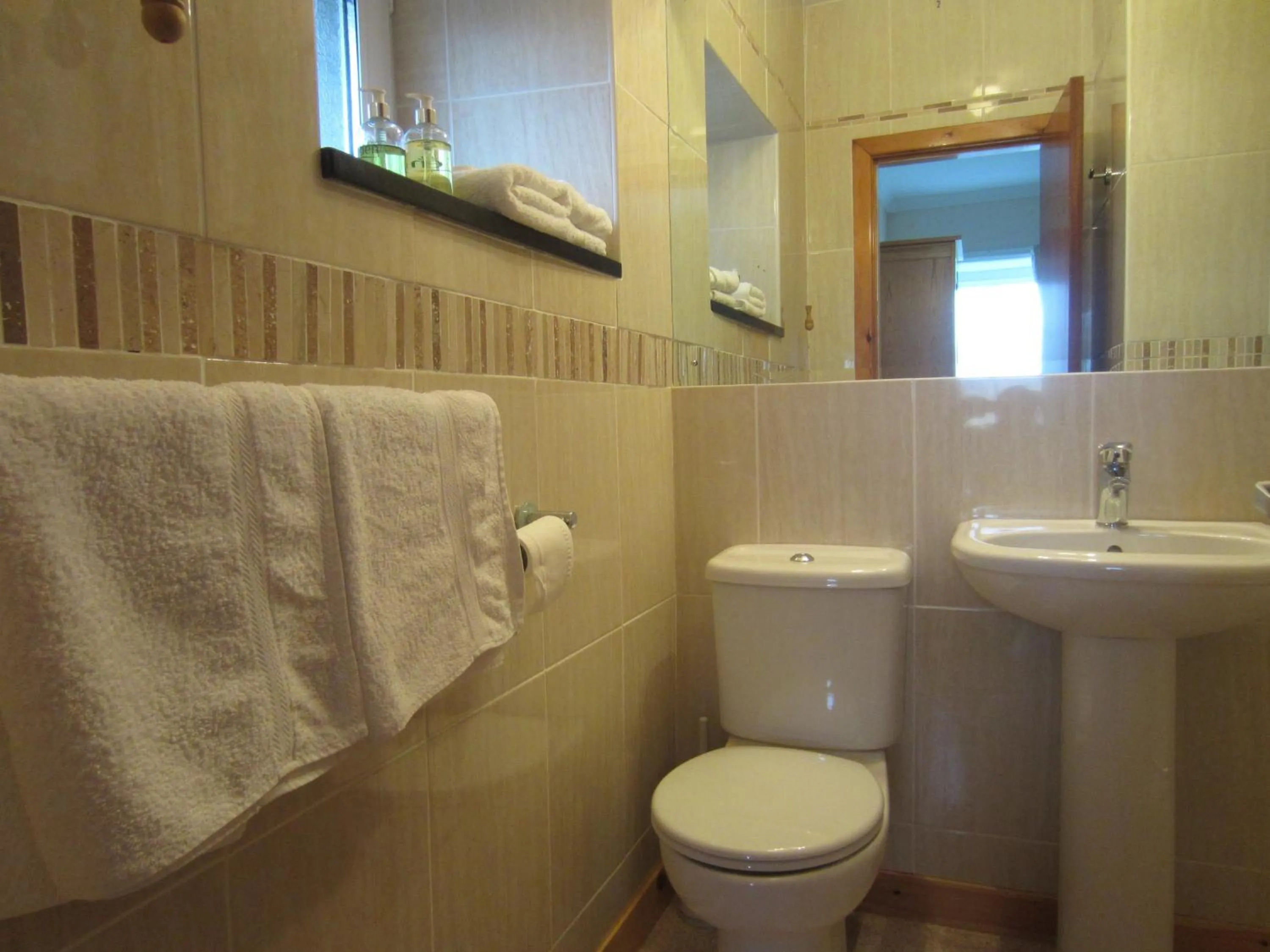 Bathroom in Gwrach Ynys Country Guest House