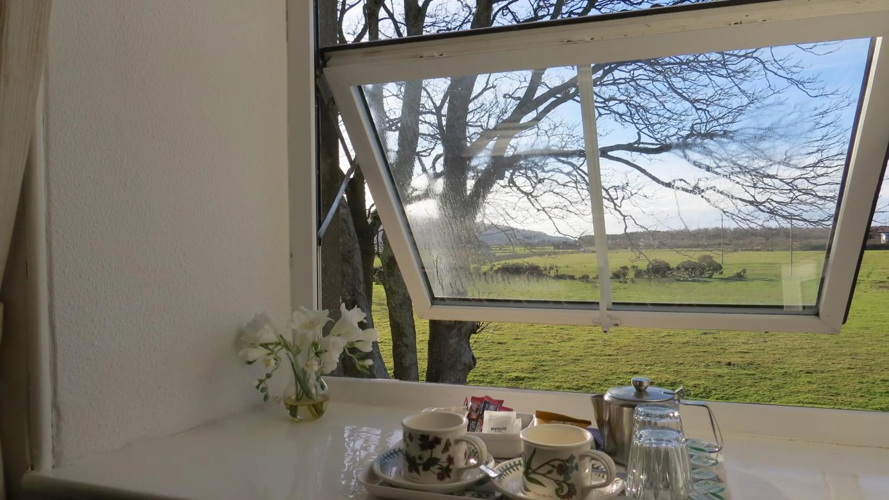 Spring in Gwrach Ynys Country Guest House