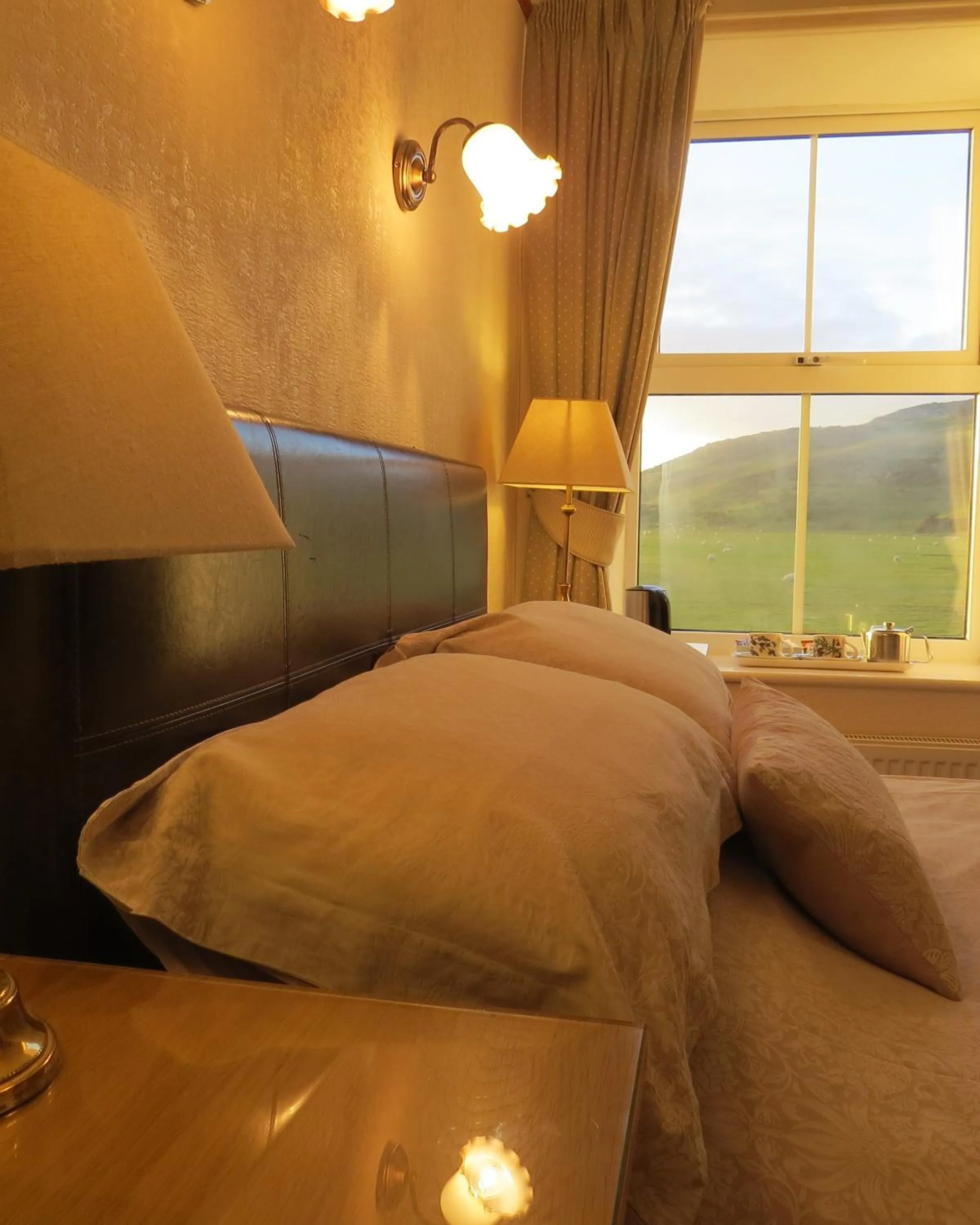 Natural landscape in Gwrach Ynys Country Guest House