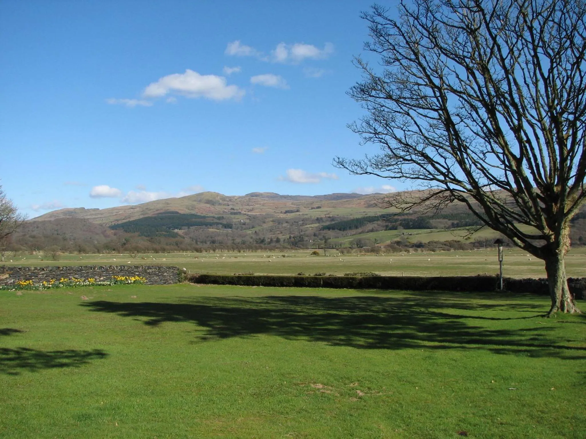 Garden in Gwrach Ynys Country Guest House