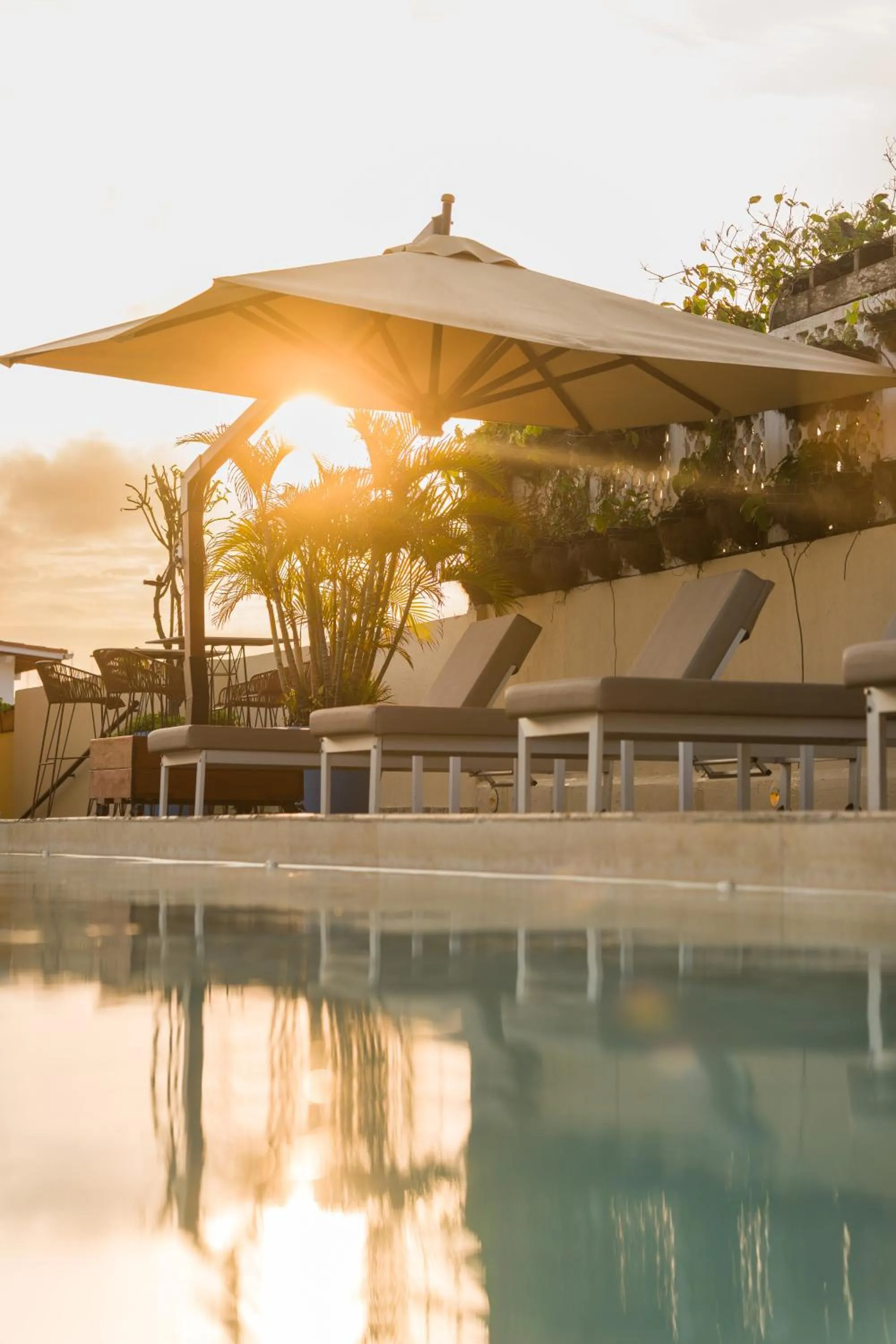 Pool view in Nacar Hotel Cartagena, Curio Collection by Hilton