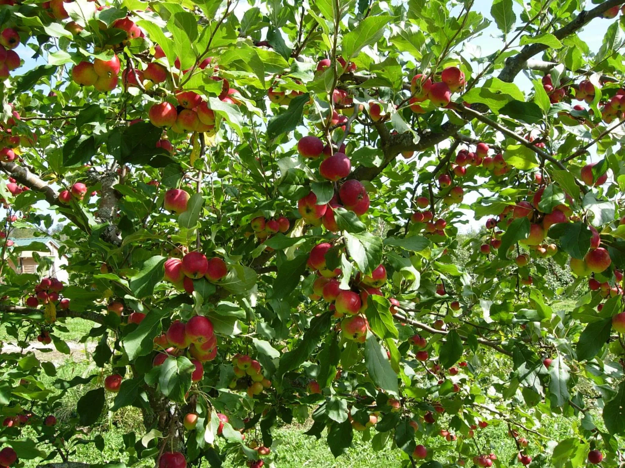 Other in Camden Maine Stay Inn