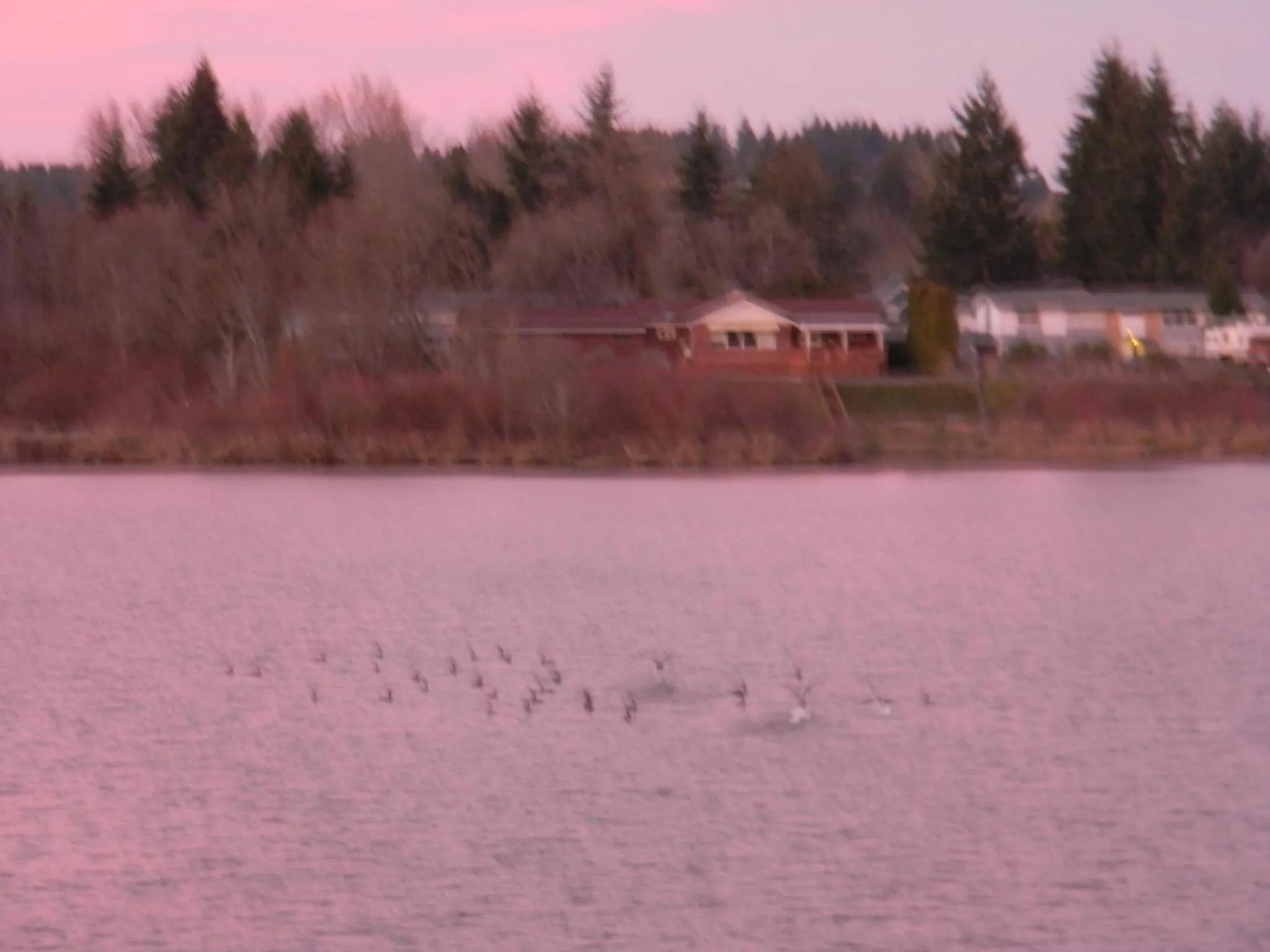 View (from property/room) in Lakeview Inn Centralia