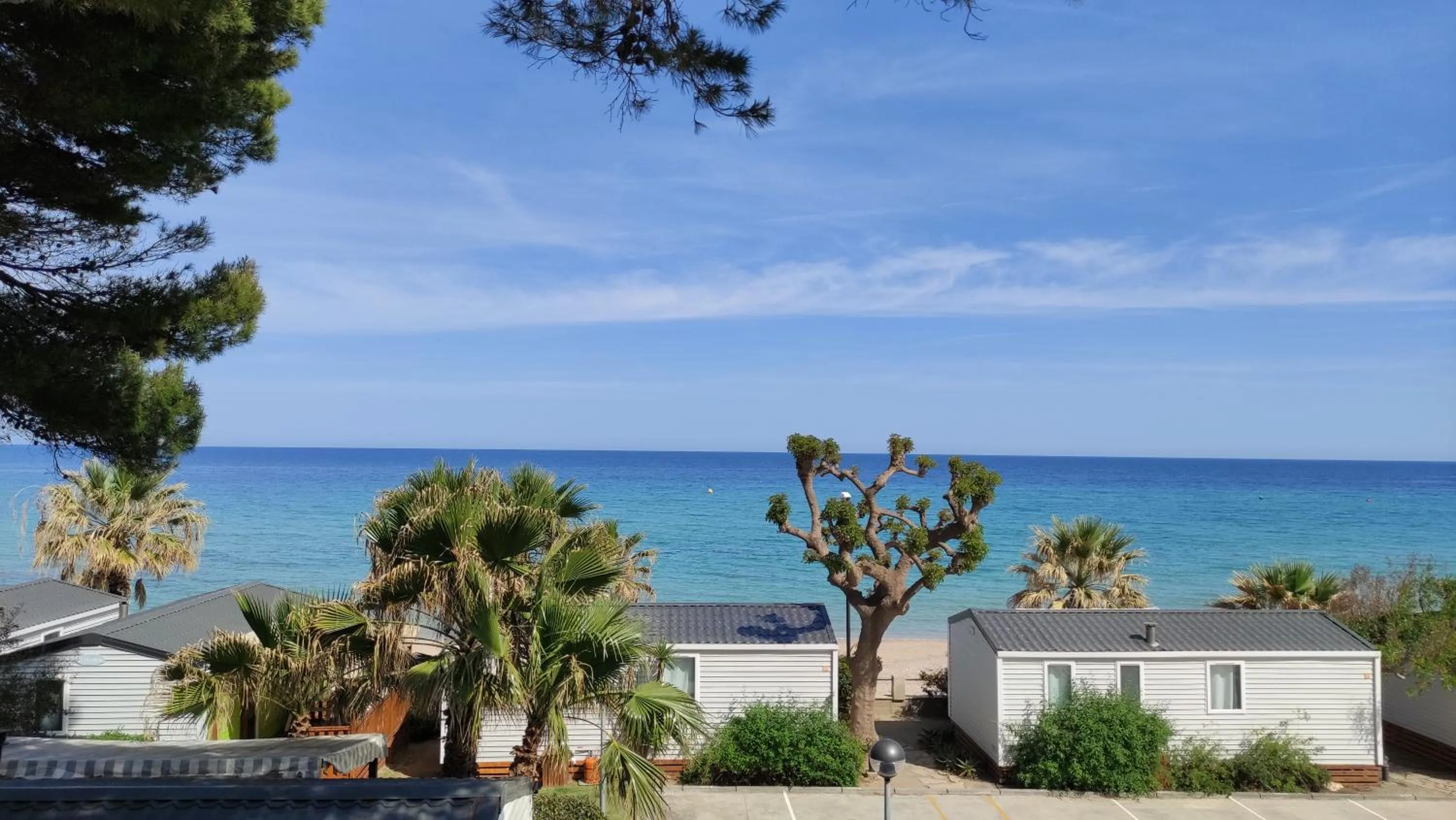 Alannia Costa Dorada