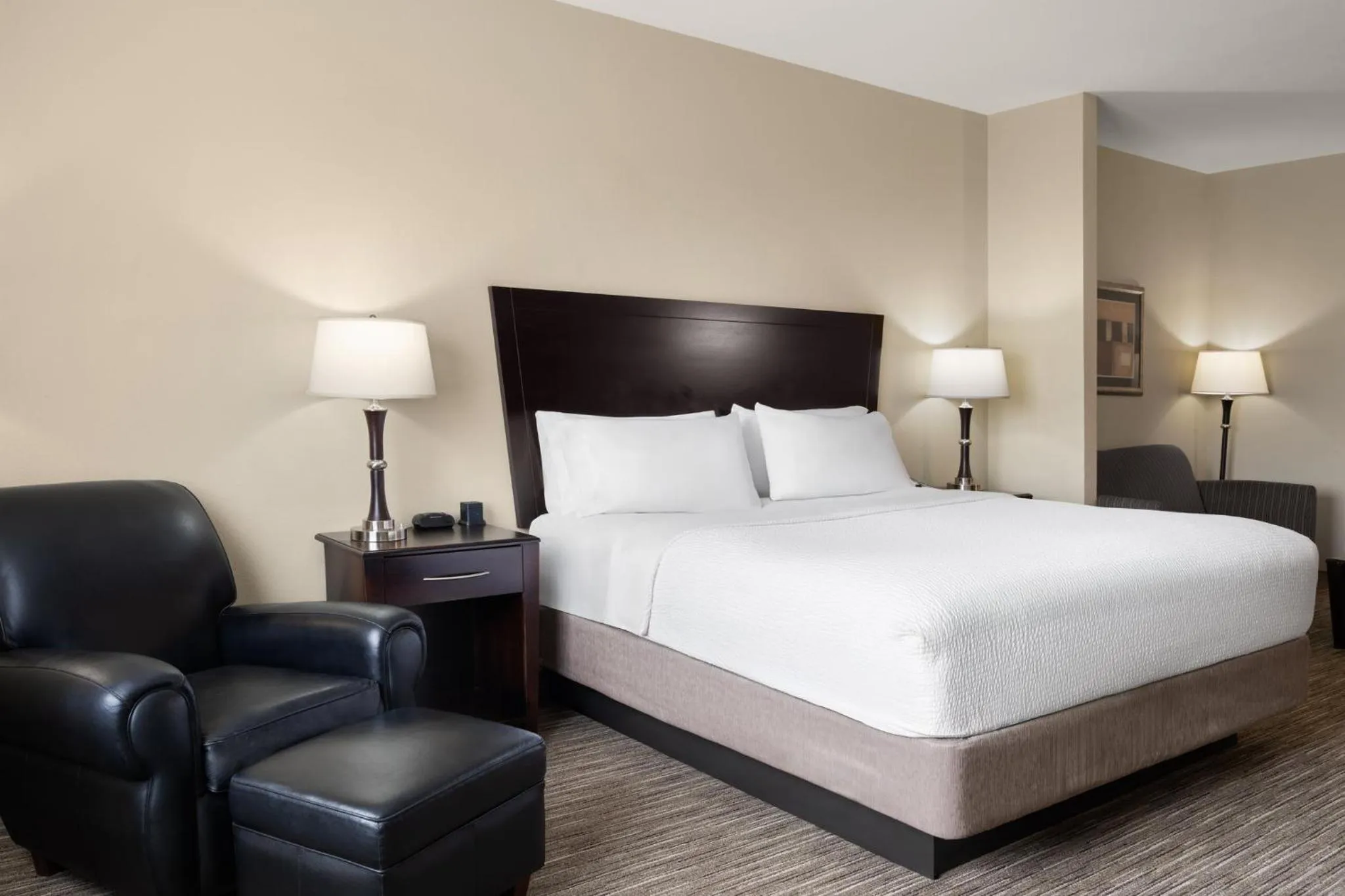 Photo of the whole room in Holiday Inn Express and Suites Snyder by IHG