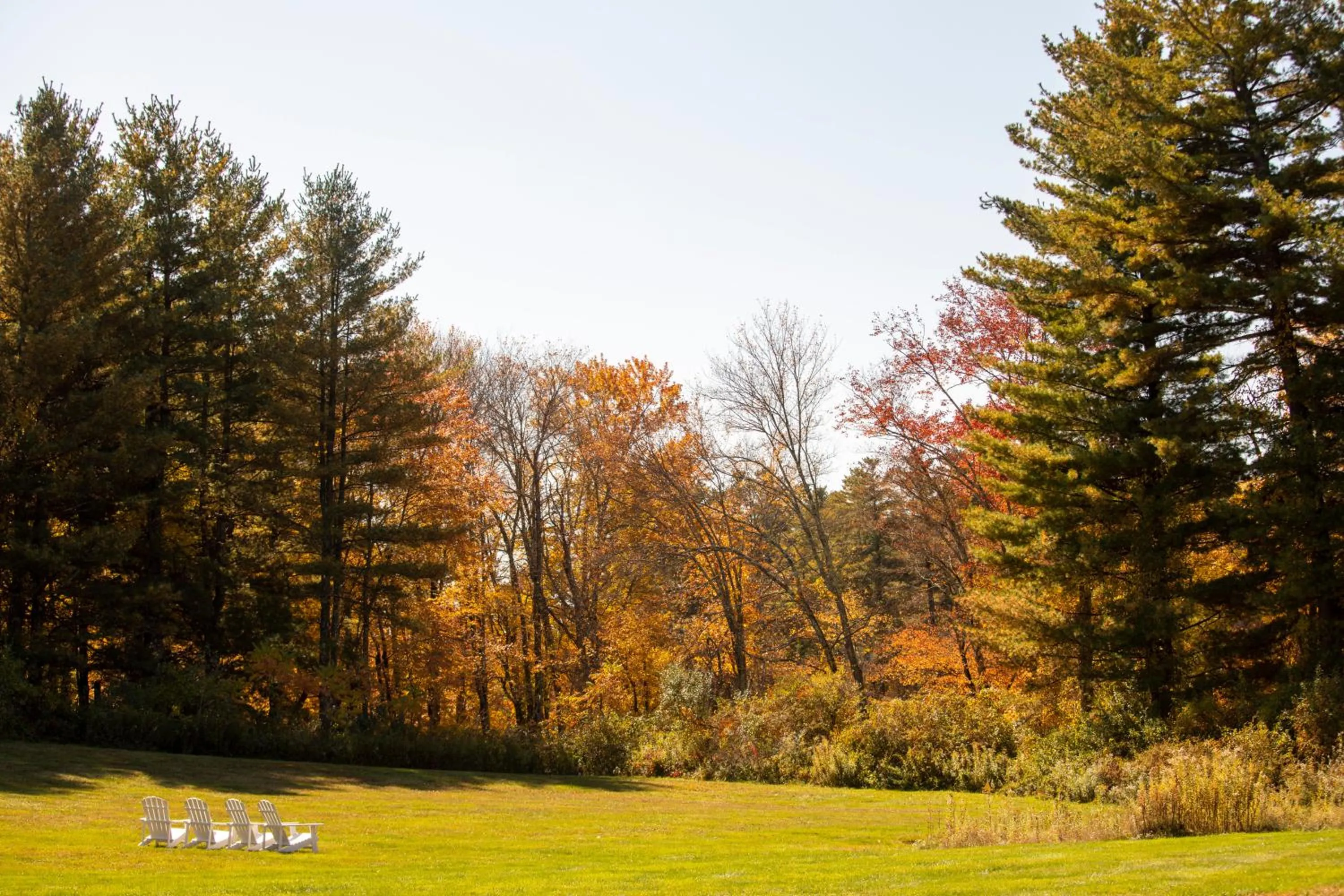 Garden in The Litchfield Inn
