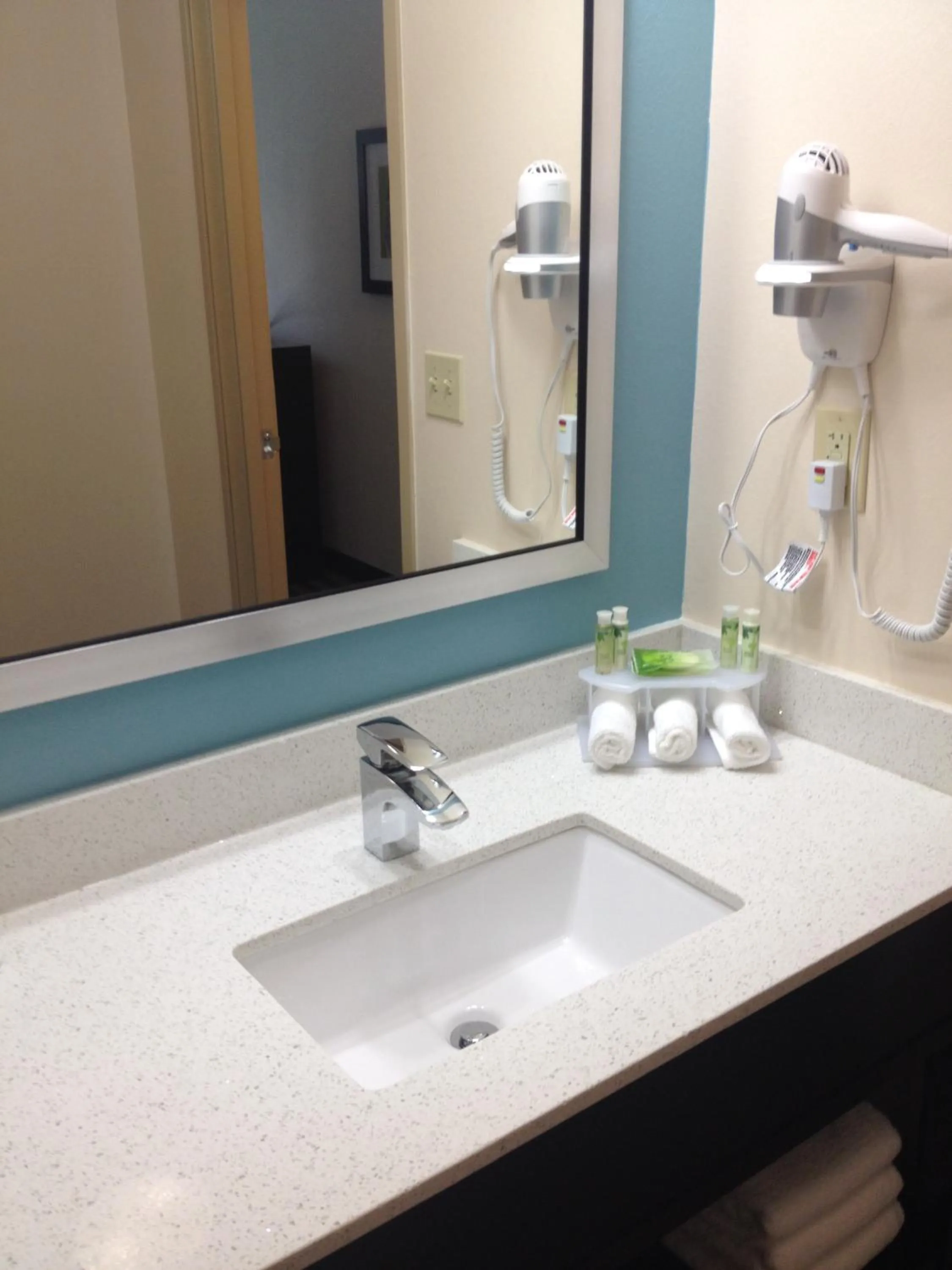 Bathroom in Holiday Inn Express Montgomery East I-85 by IHG