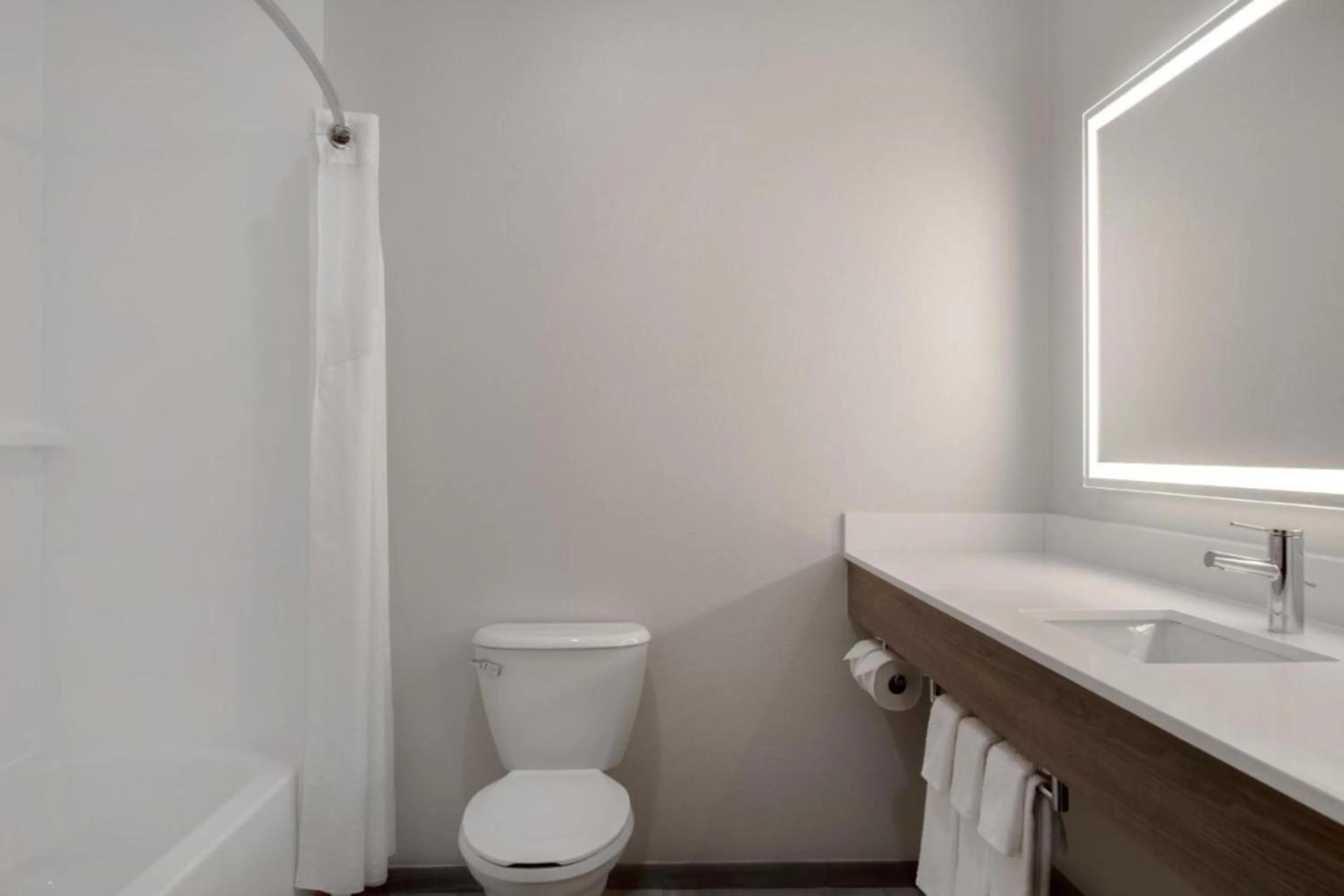 Bathroom in Holiday Inn Express Montgomery East I-85 by IHG