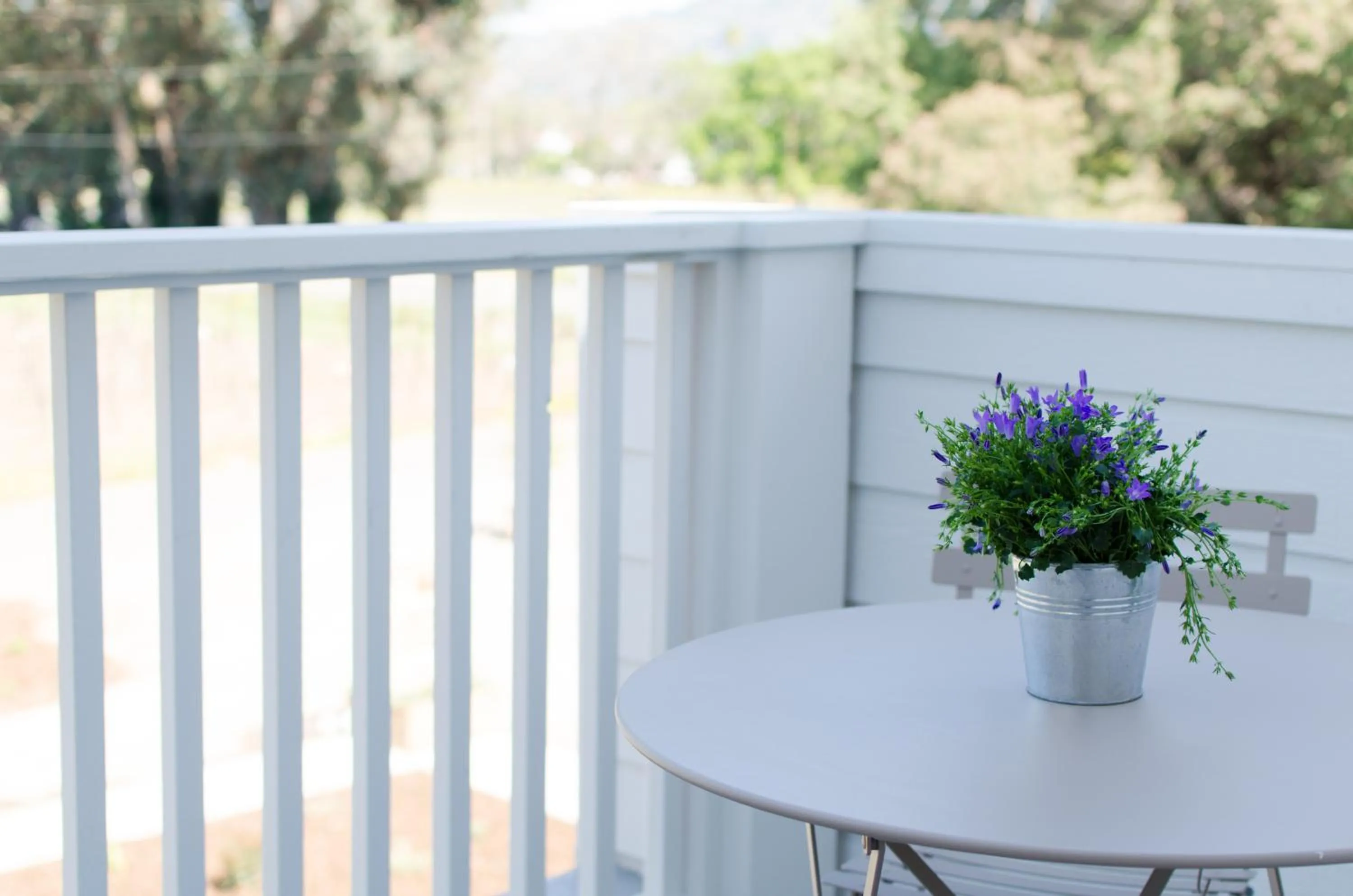 Garden in The Setting Inn Napa Valley