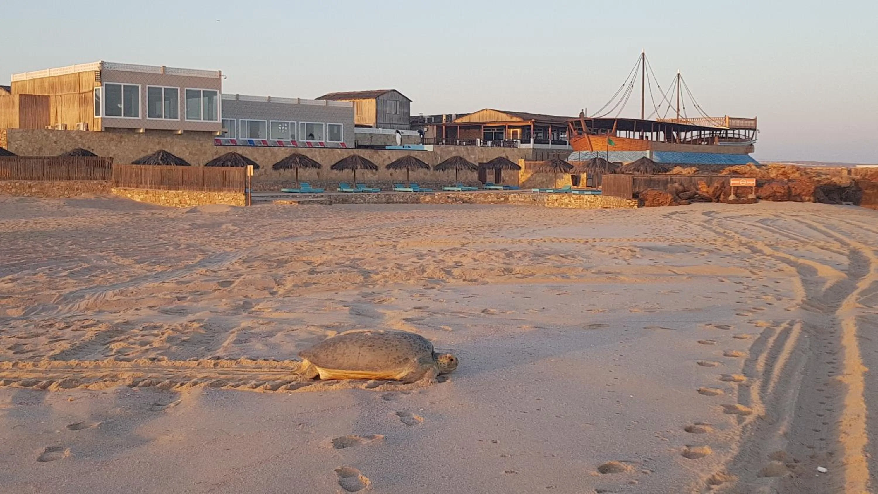 Property building in Turtle Beach Resort