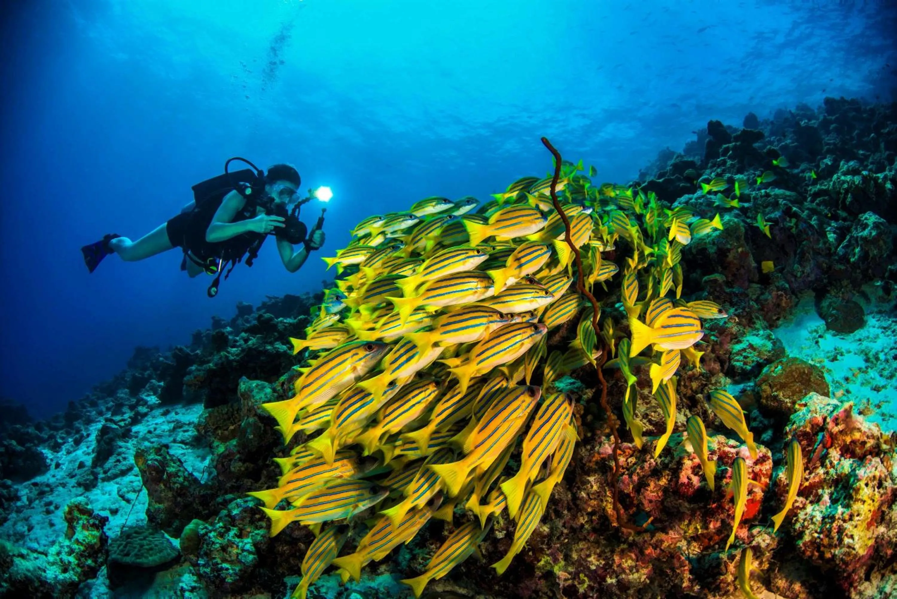 Fitness centre/facilities in Dusit Thani Maldives - Mudhdhoo Island, Baa Atoll