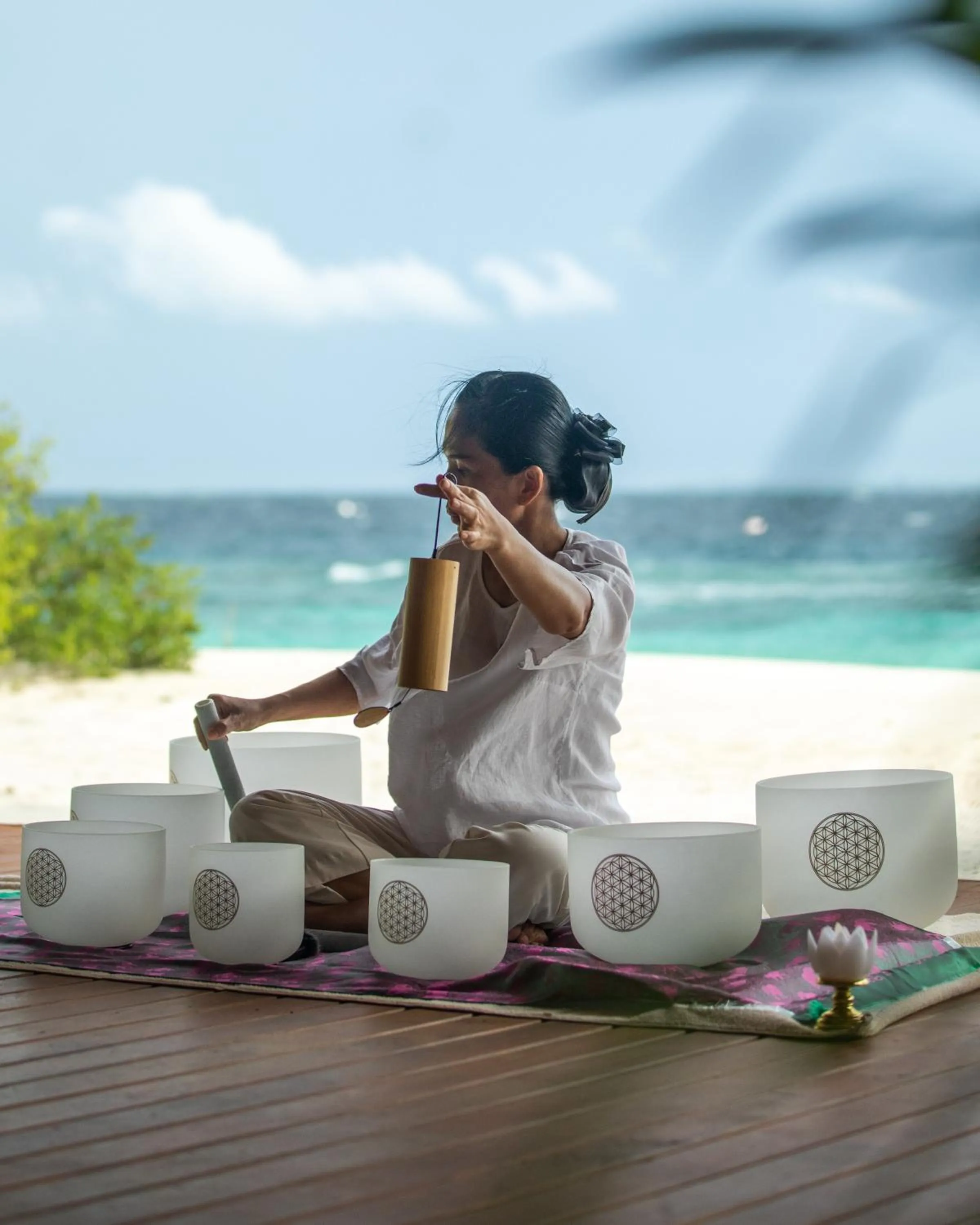 Activities in Dusit Thani Maldives - Mudhdhoo Island, Baa Atoll