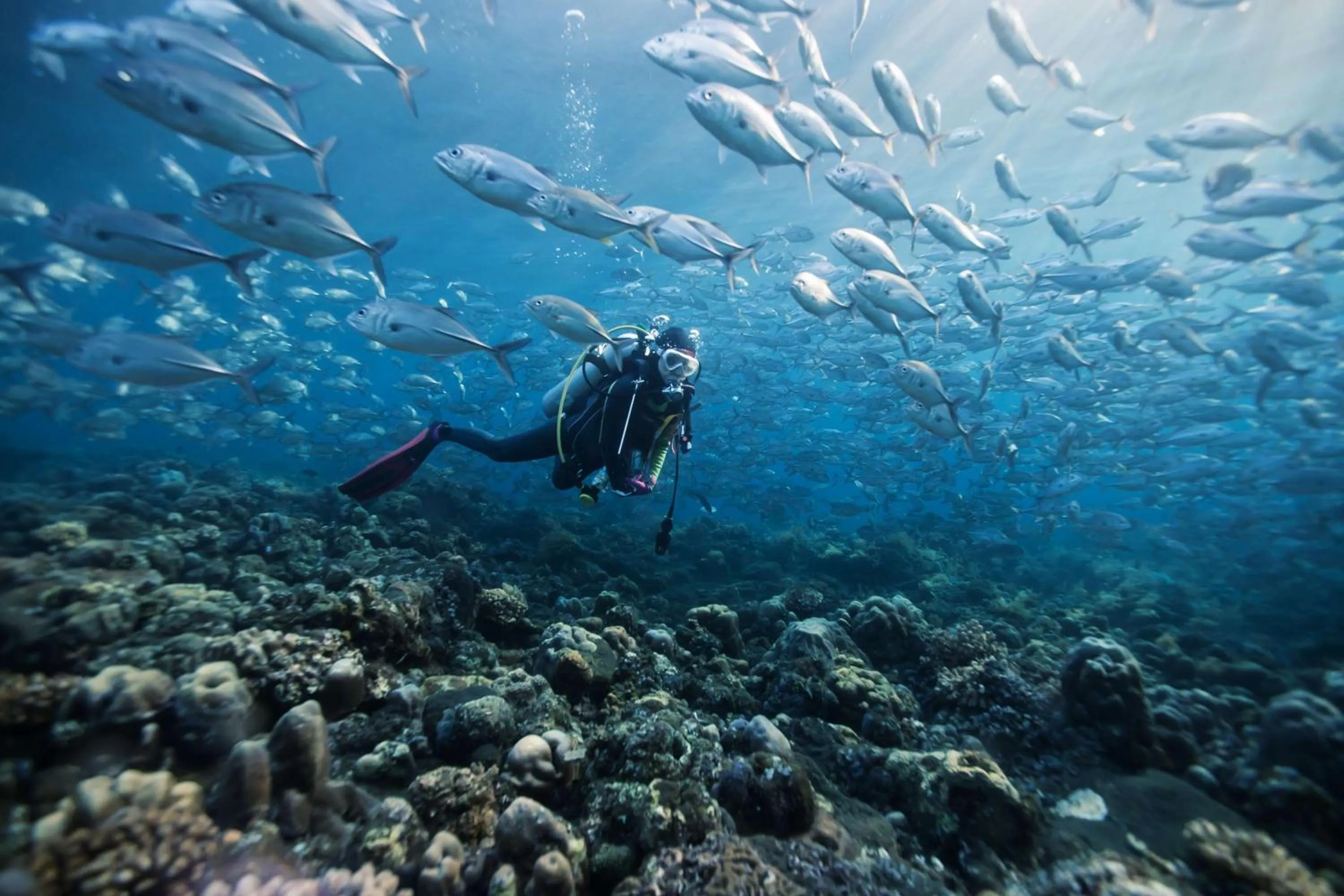 Sports in Dusit Thani Maldives - Mudhdhoo Island, Baa Atoll