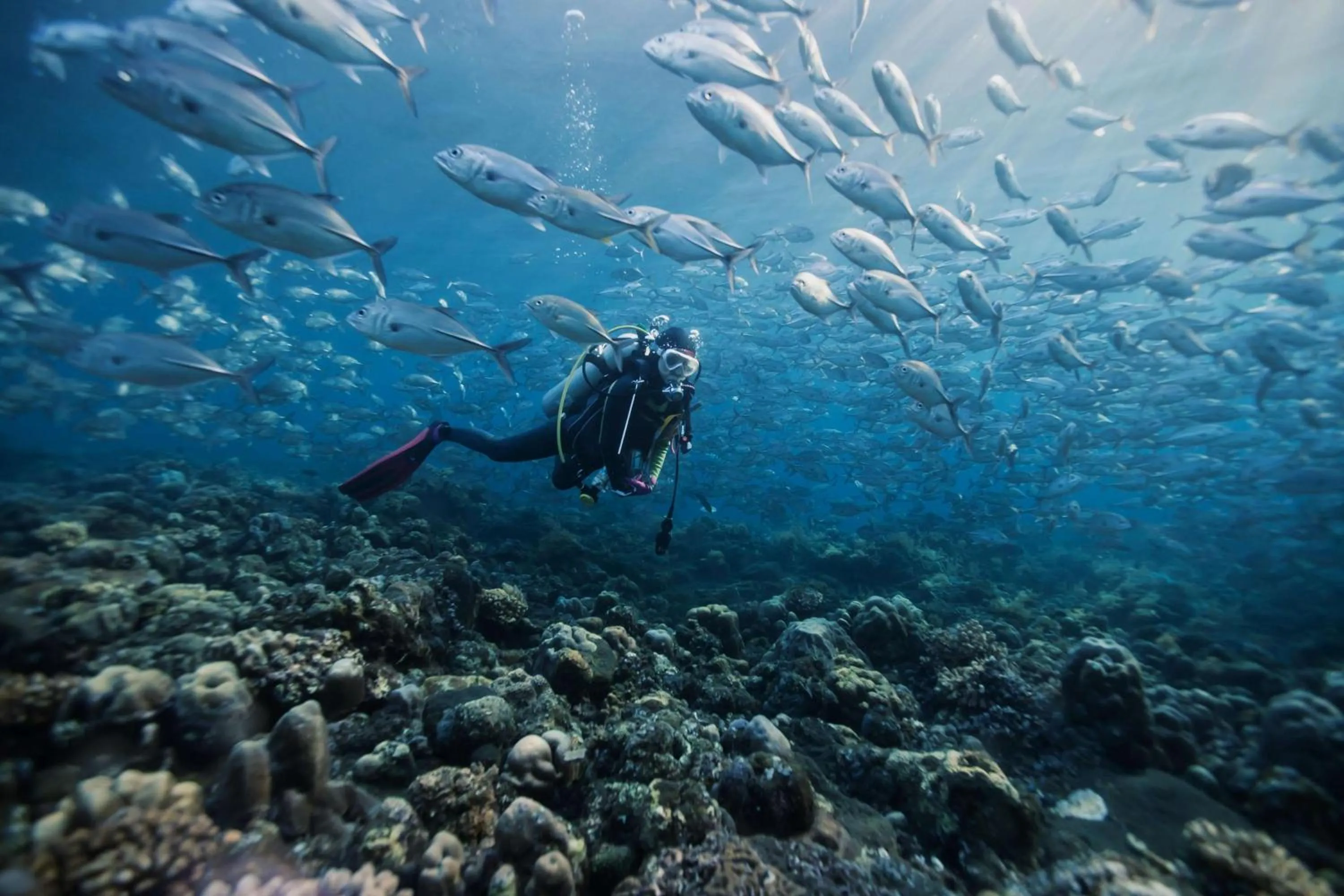 Sports in Dusit Thani Maldives - Mudhdhoo Island, Baa Atoll