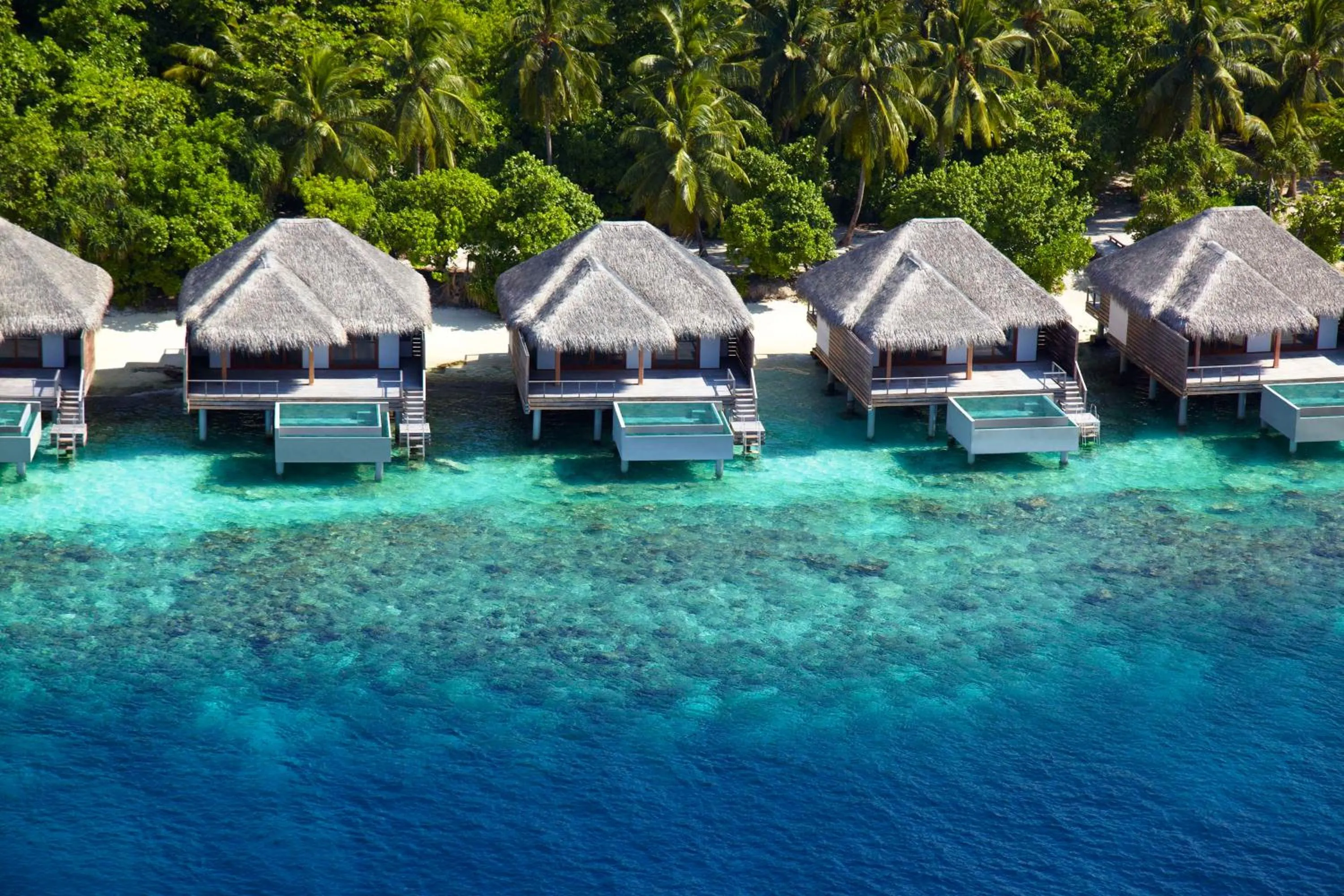 View (from property/room) in Dusit Thani Maldives - Mudhdhoo Island, Baa Atoll
