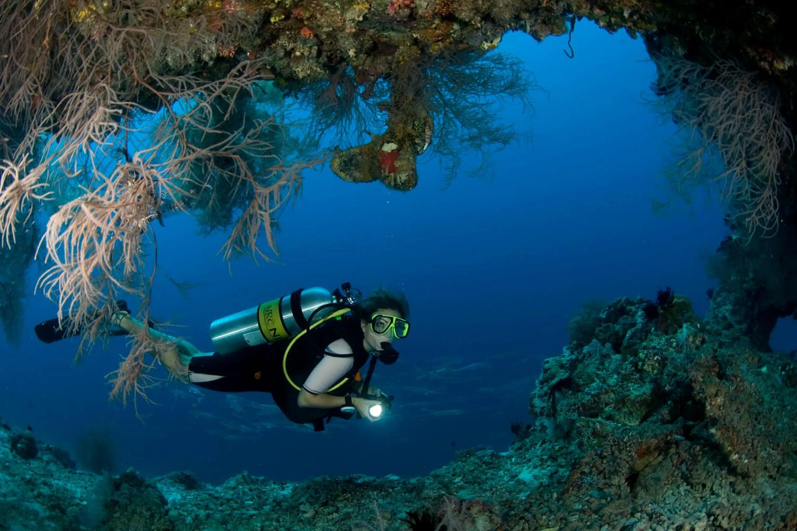 Natural landscape in Dusit Thani Maldives - Mudhdhoo Island, Baa Atoll