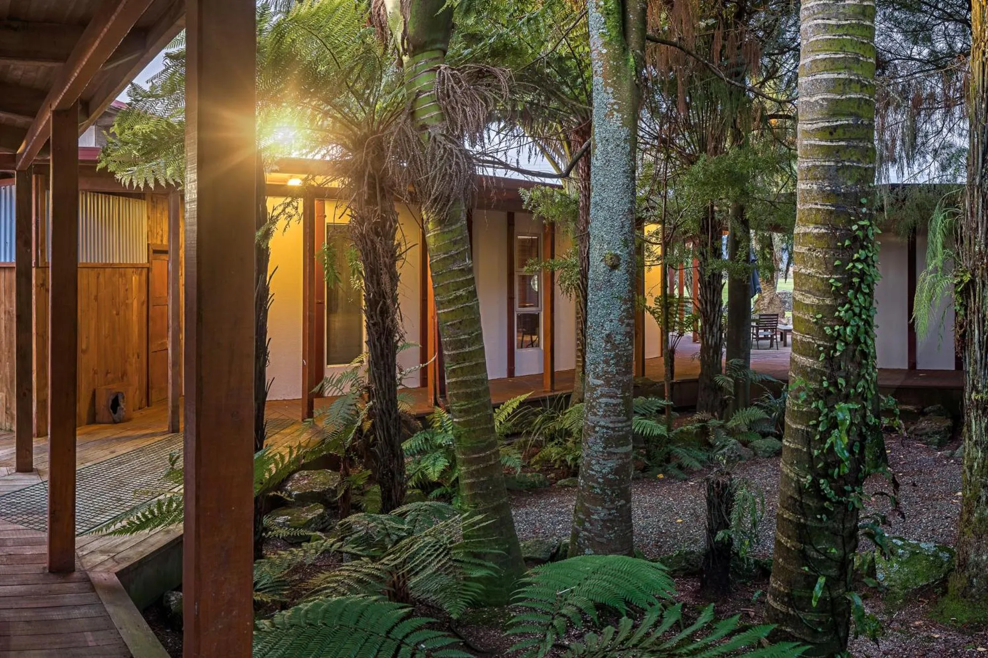 Garden in Last Resort Karamea