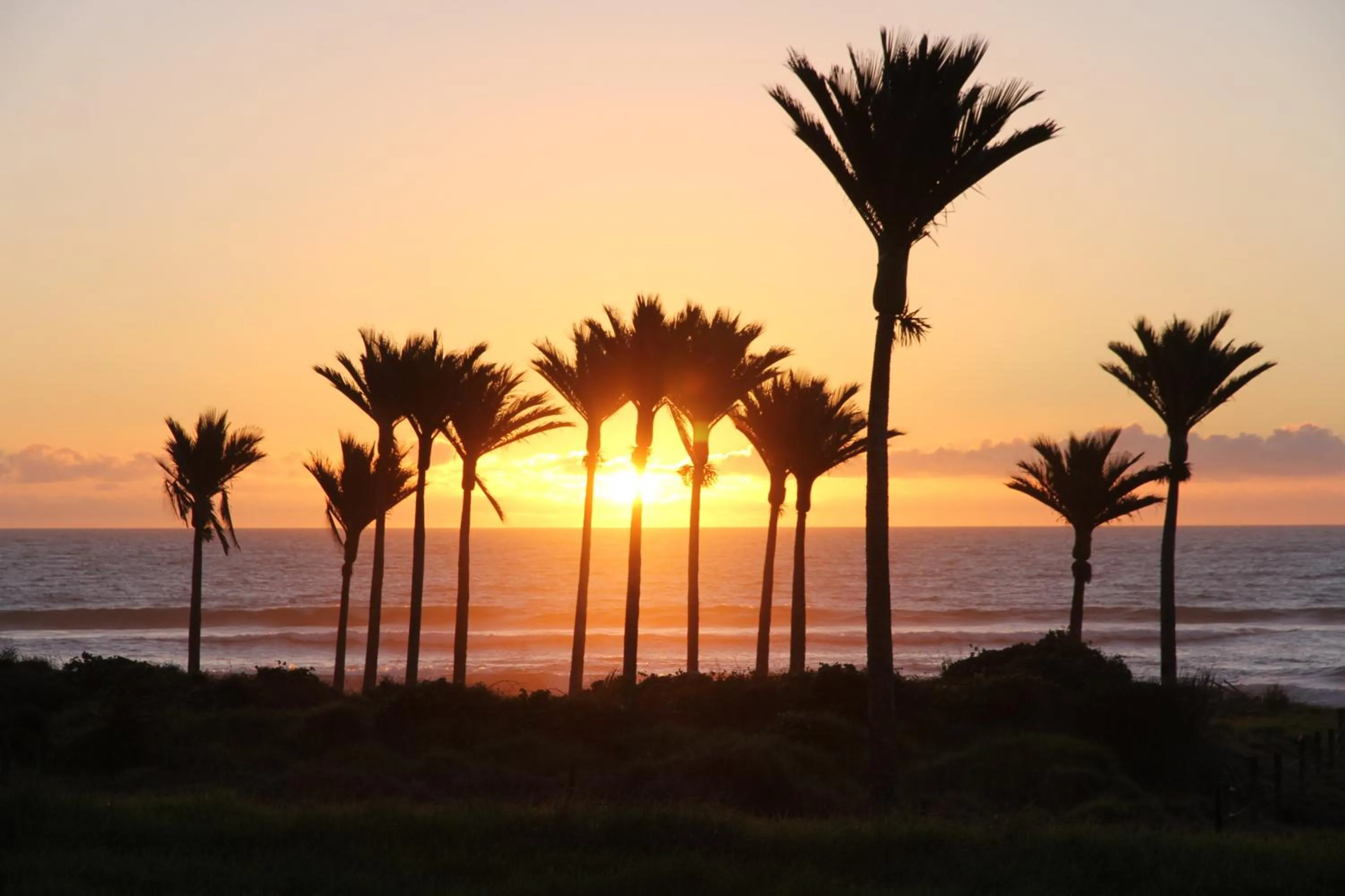 Sea view in Last Resort Karamea