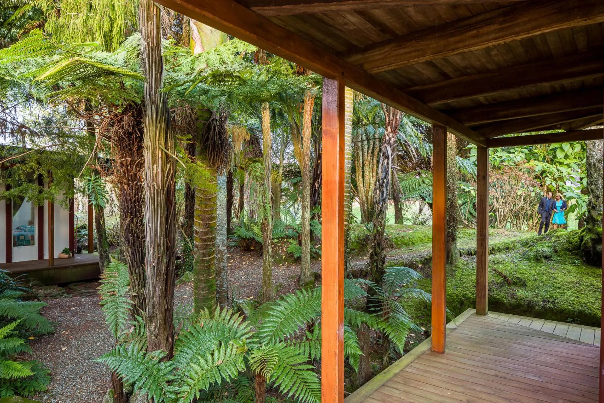 Garden in Last Resort Karamea