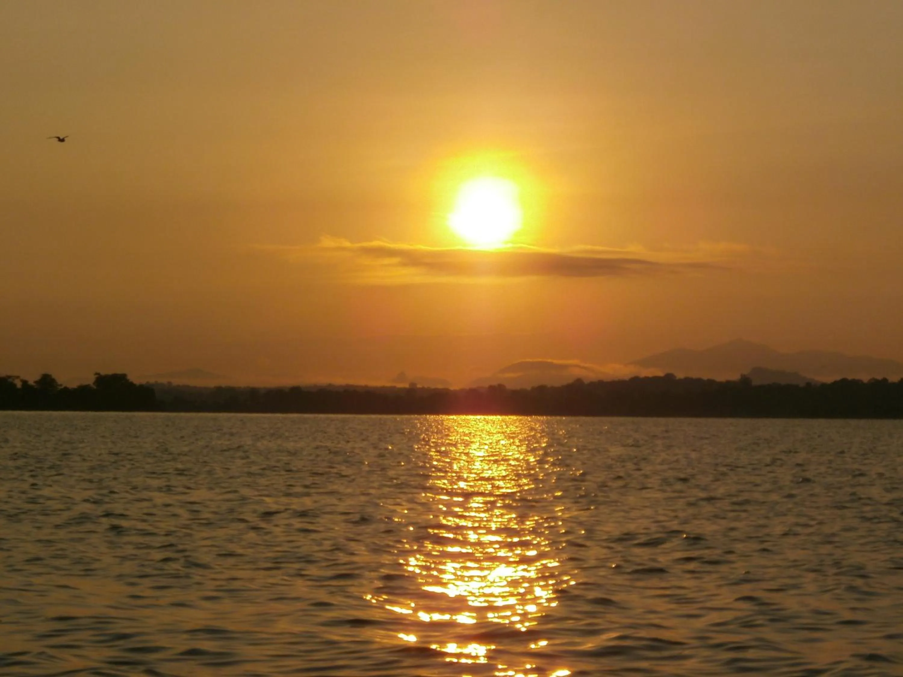 Natural landscape in Amanda Hills
