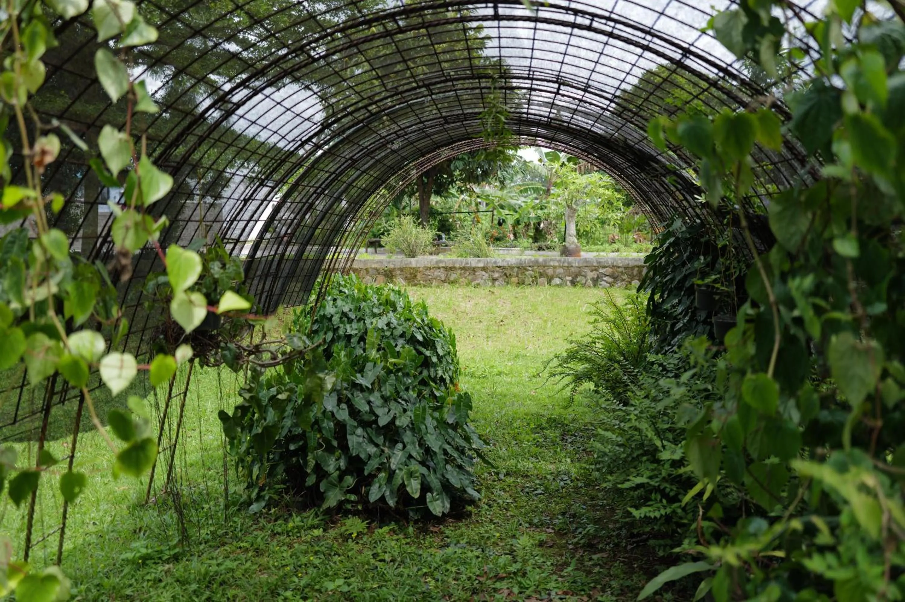 APM Equestrian Resort