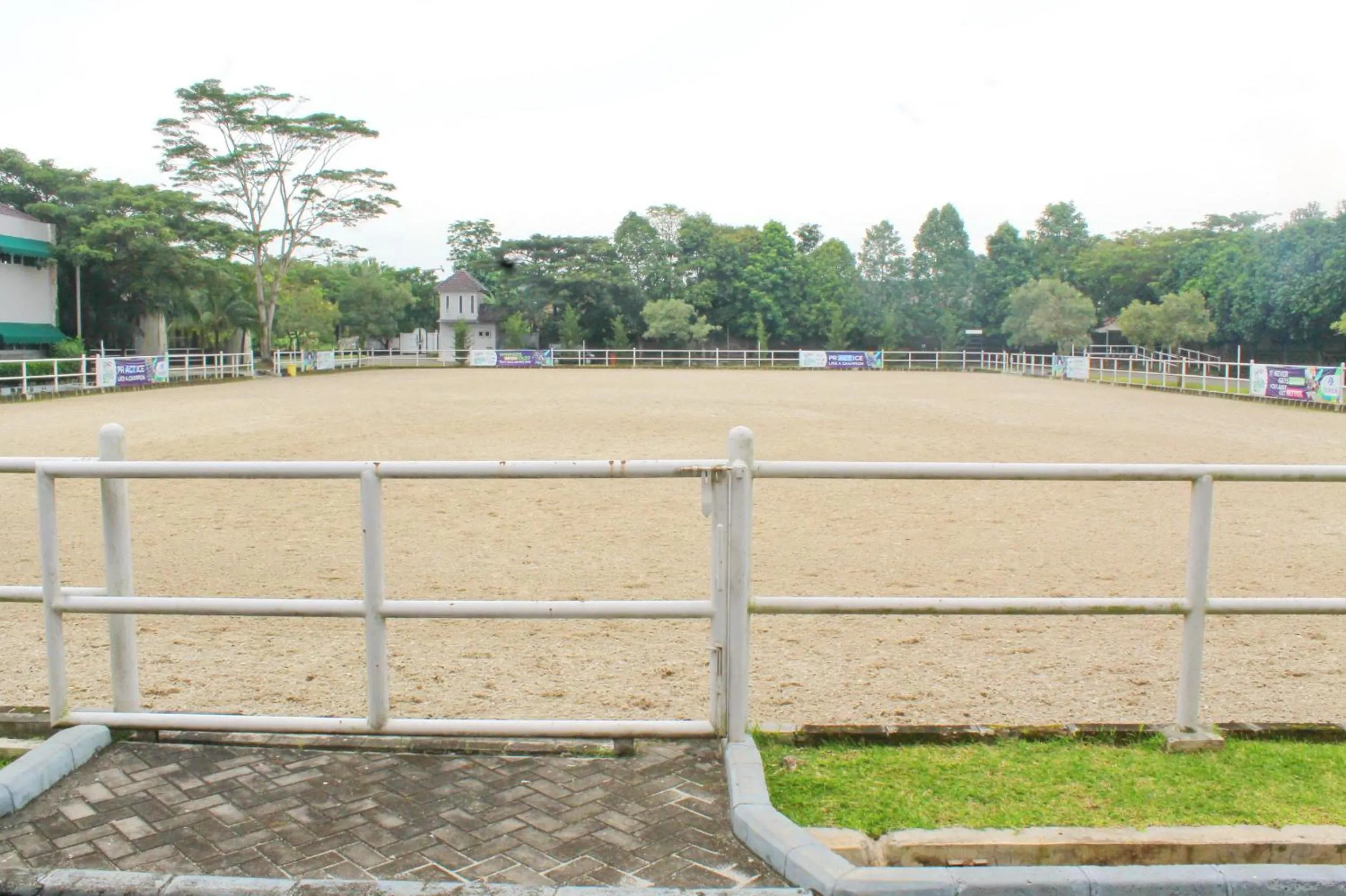Horse-riding in APM Equestrian Resort