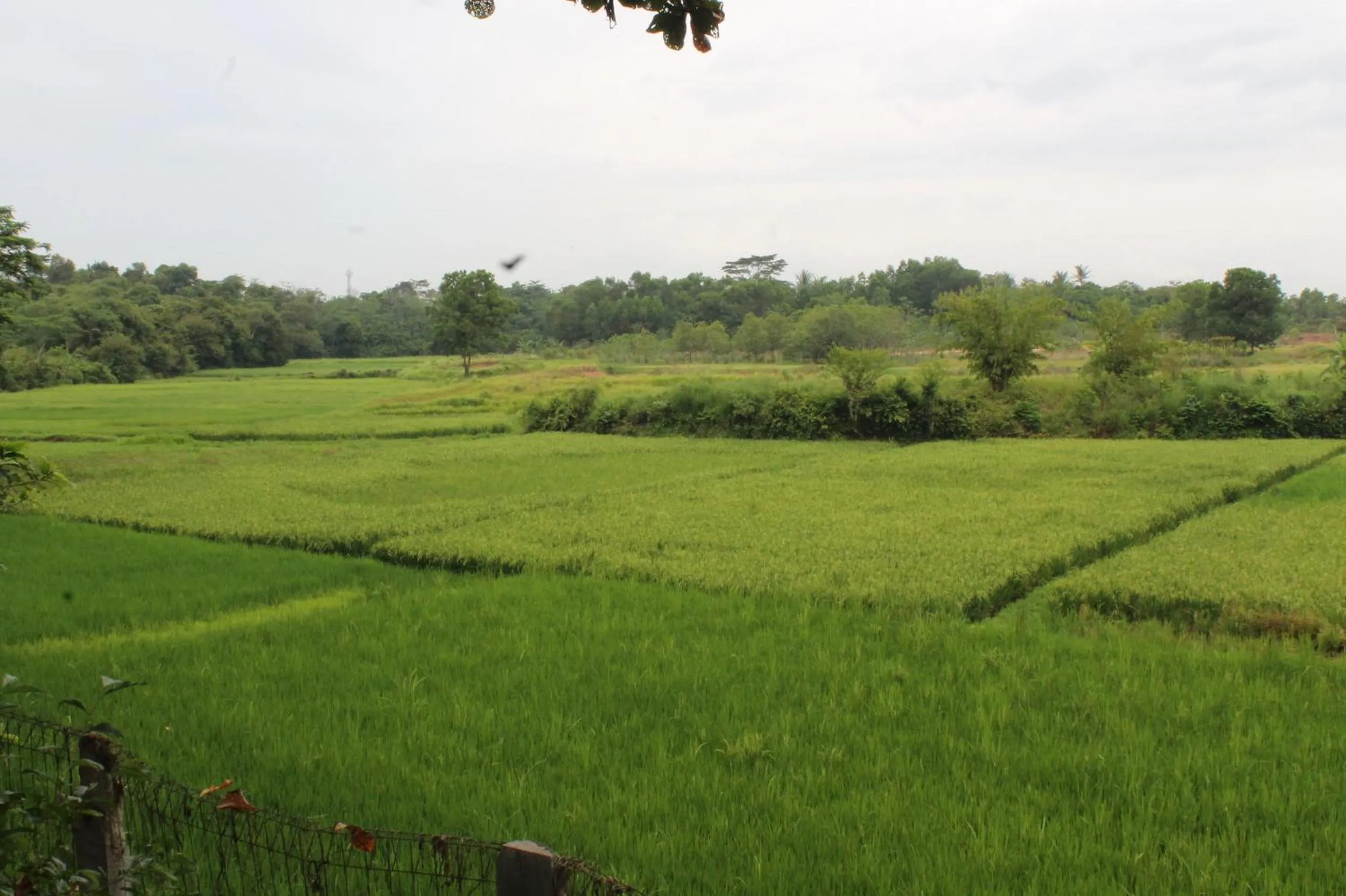 On site in APM Equestrian Resort