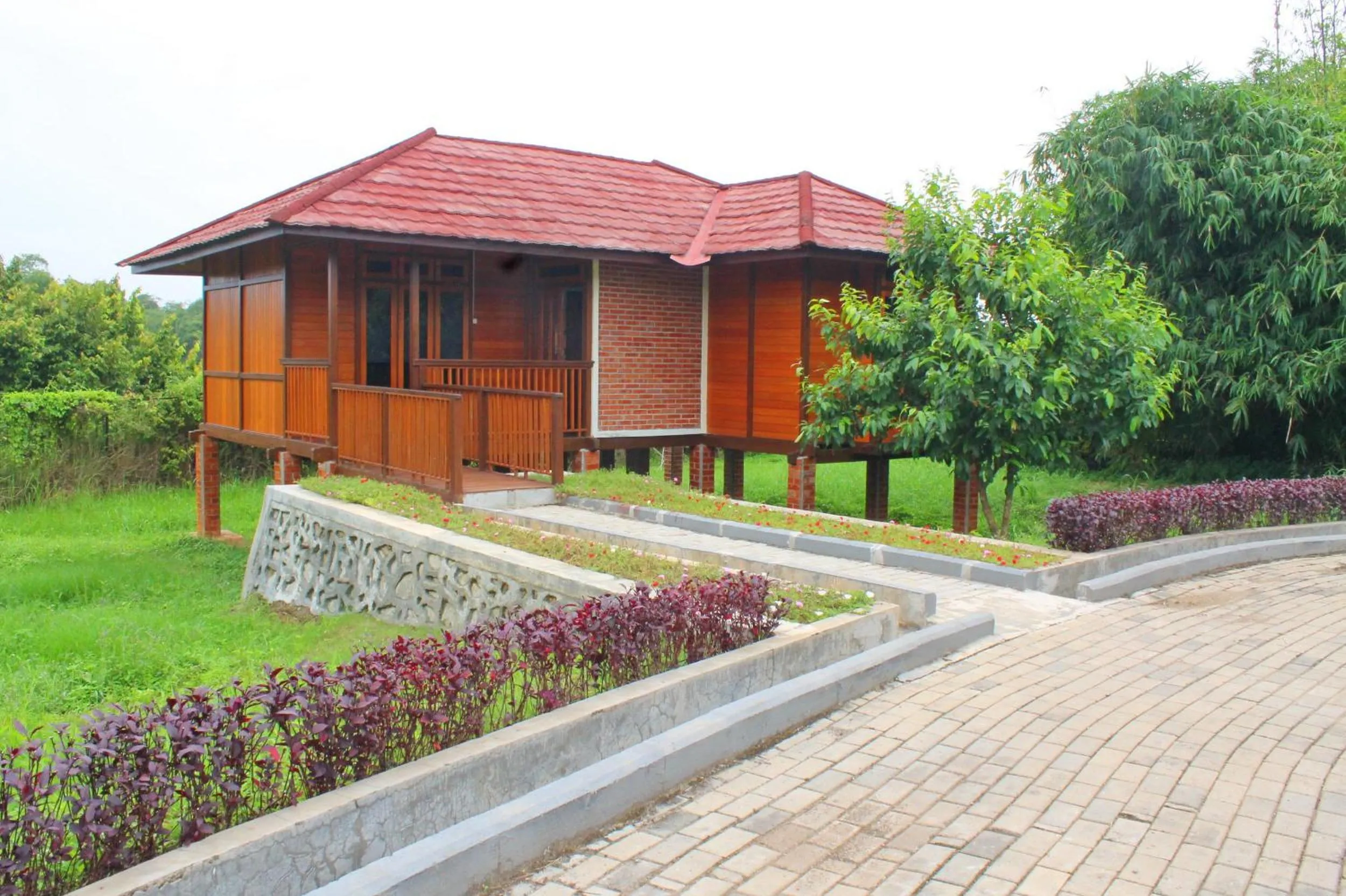 Photo of the whole room in APM Equestrian Resort