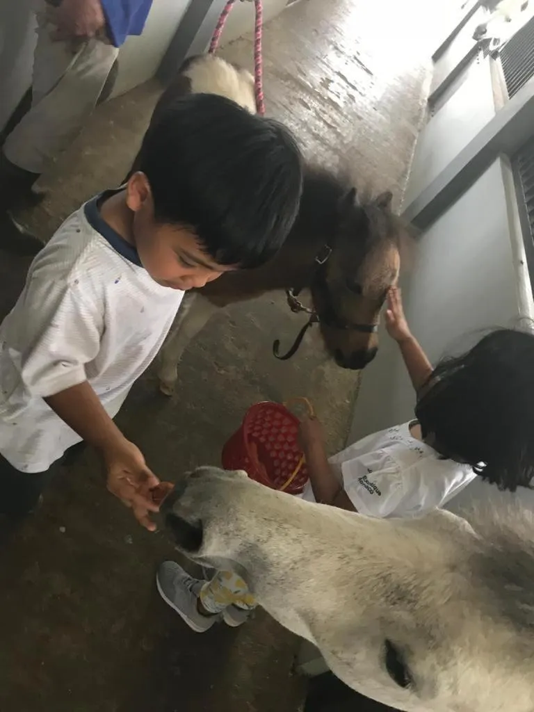 APM Equestrian Resort