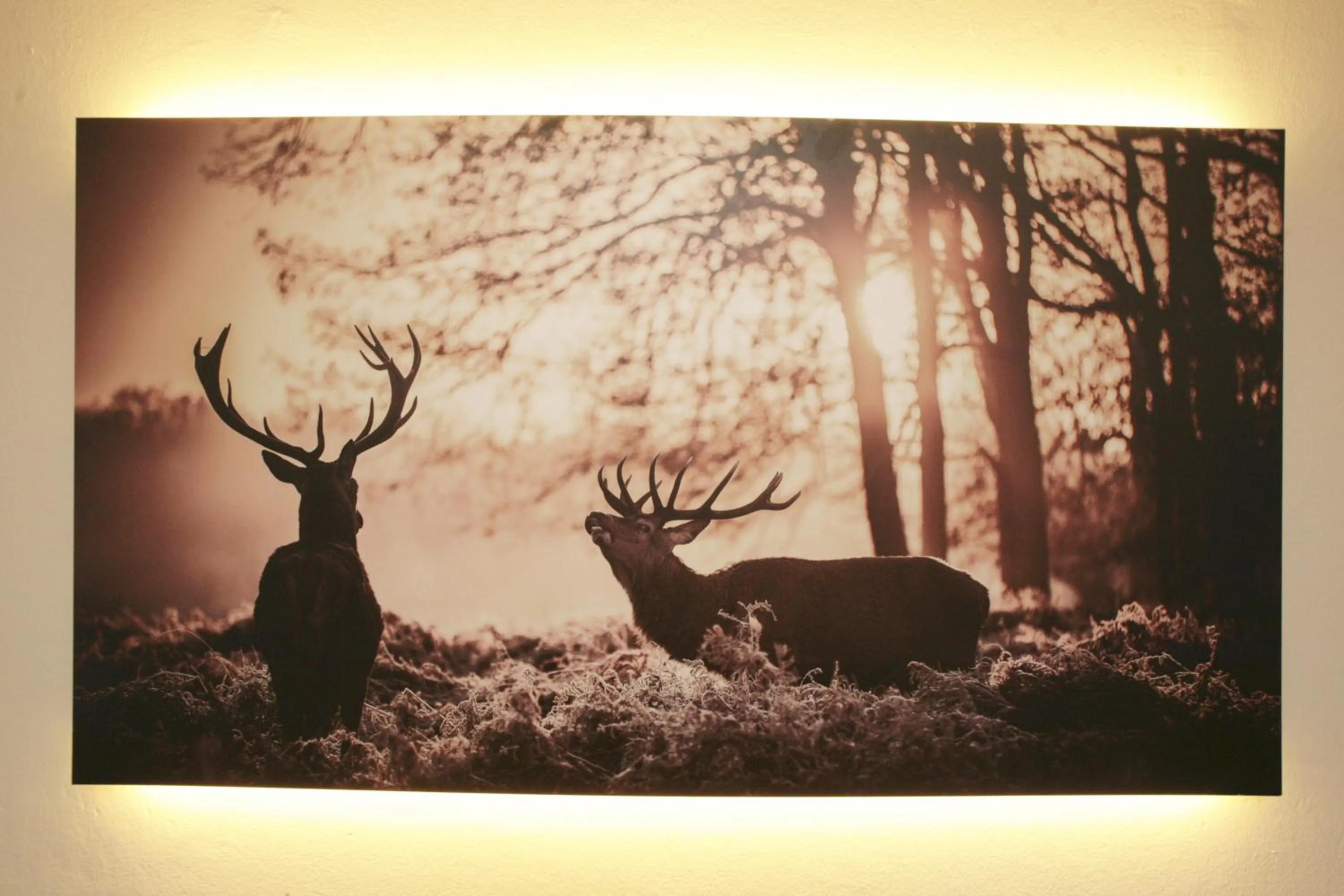 Decorative detail in Lake and Cityhotel Edelweiss - self Check in