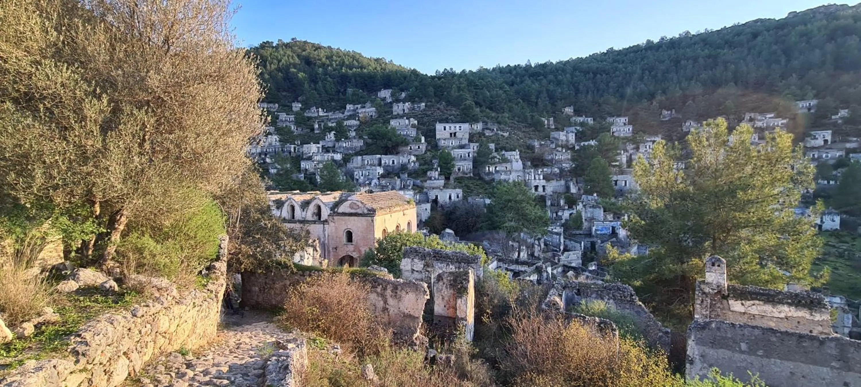 Activities in California Apart Otel