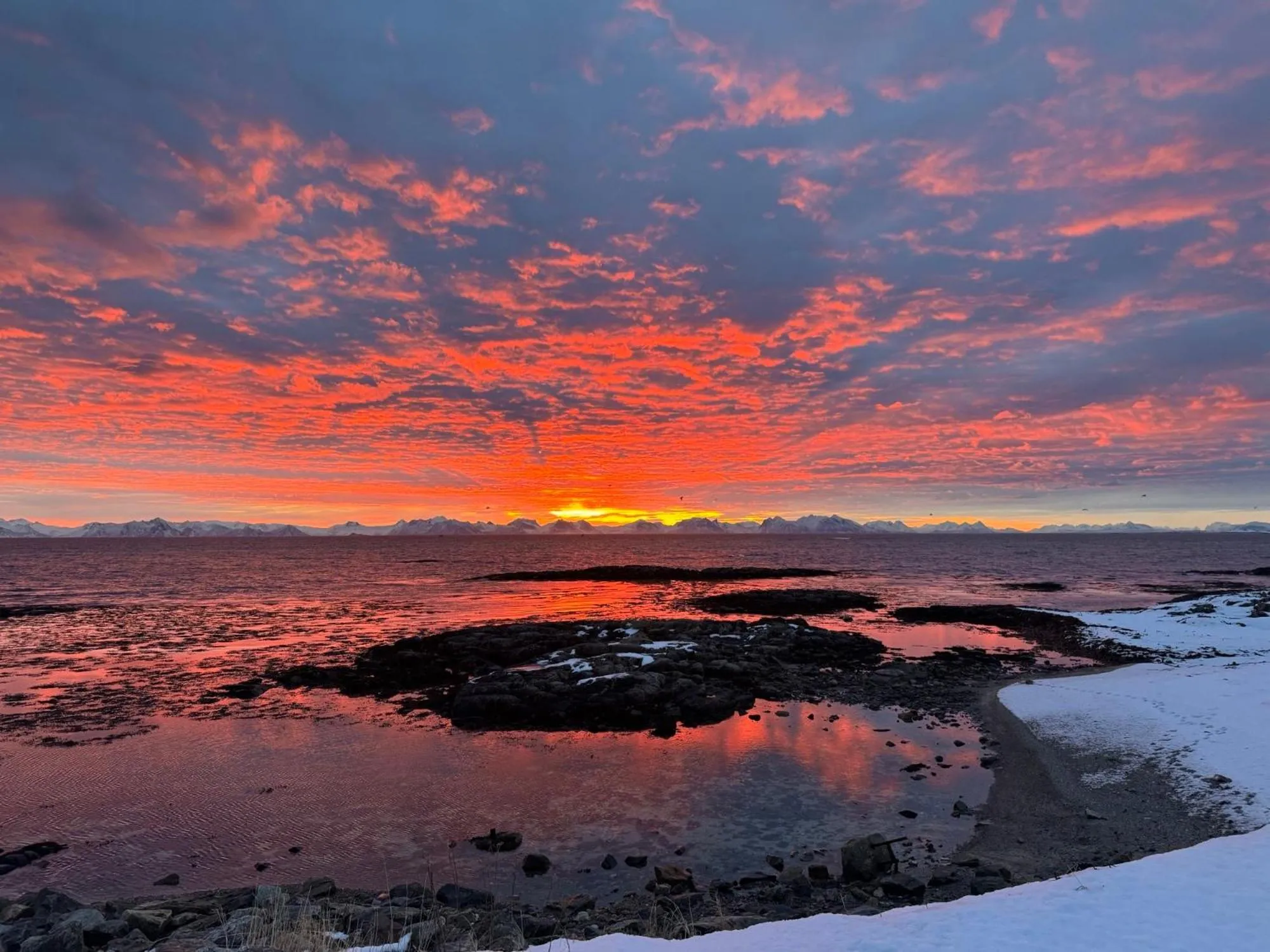 Grønnbuene Rorbu Hotel