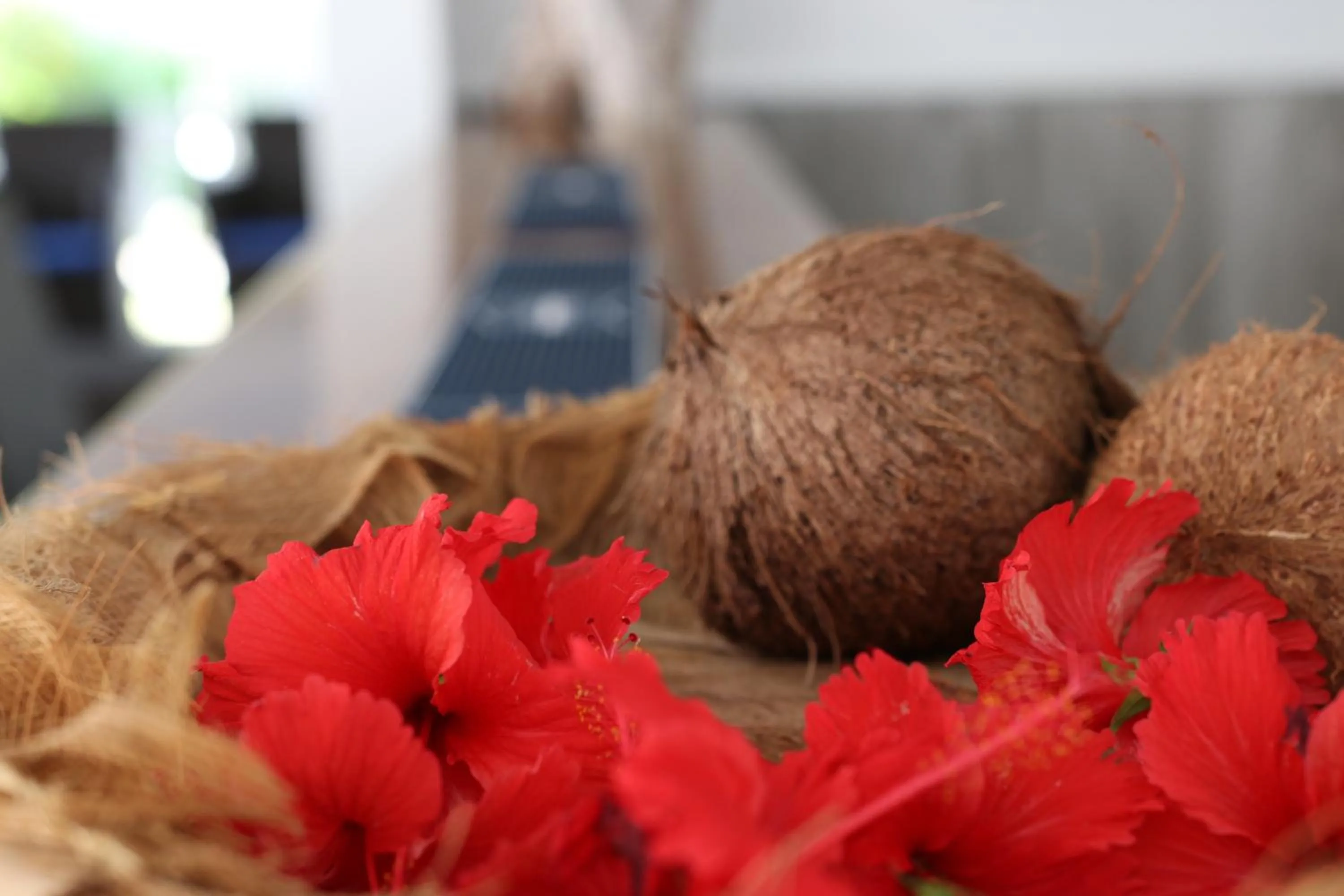 Decorative detail in Residence Argine