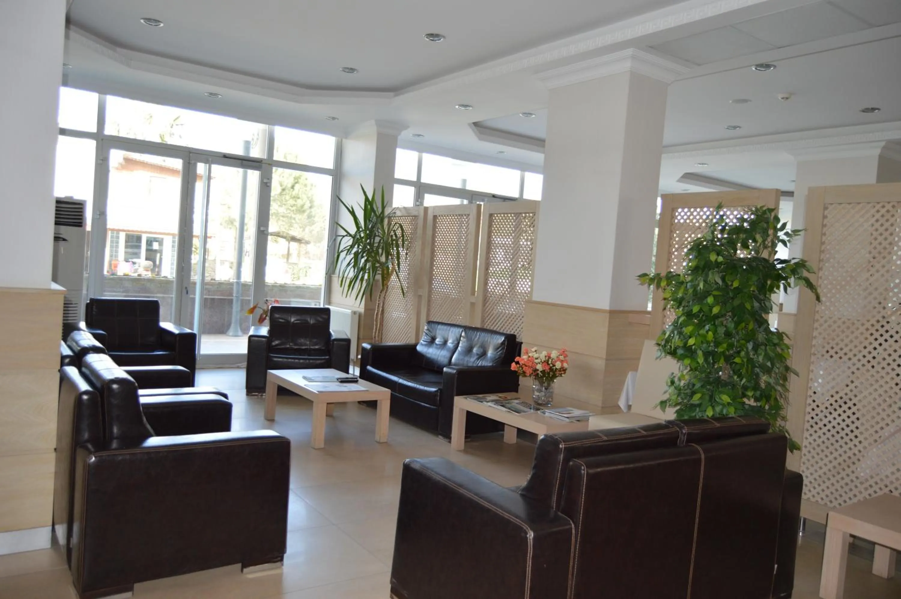 Living room in Kale Palace Hotel