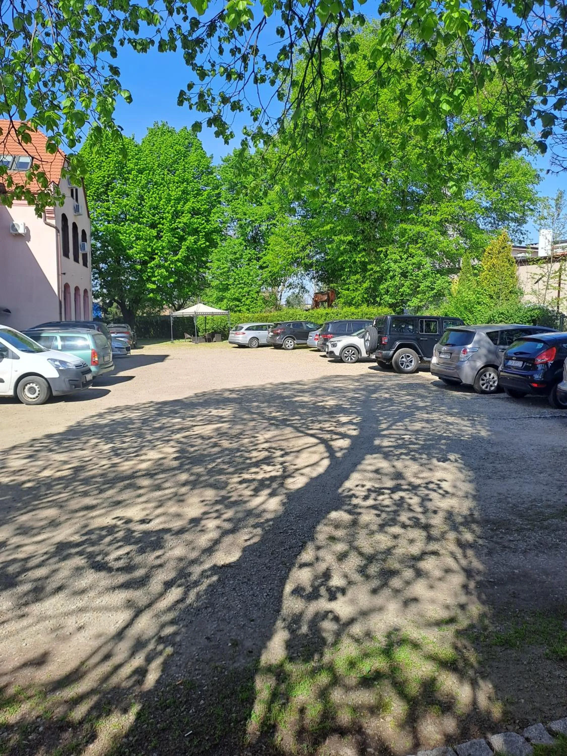 Garden in Hotel Aslan